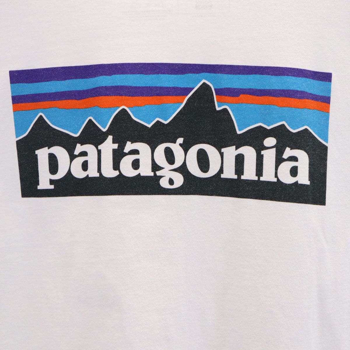 patagonia パタゴニア バックロゴ 半袖 Tシャツ S ブルーホワイト 38504SP21 アウトドア メンズ