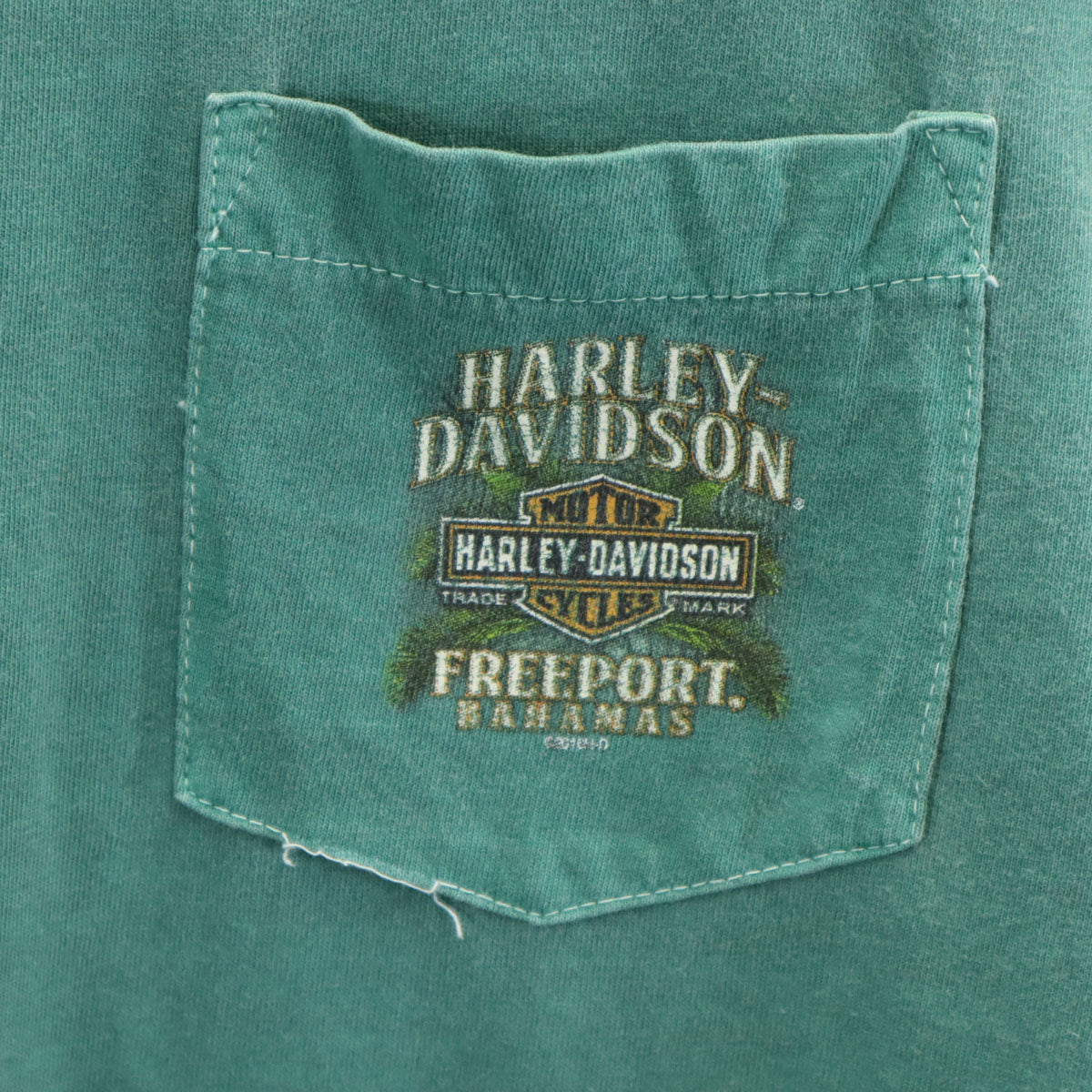 HARLEY DAVIDSON ハーレーダビッドソン バックロゴ 半袖 Tシャツ S グリーン メンズ