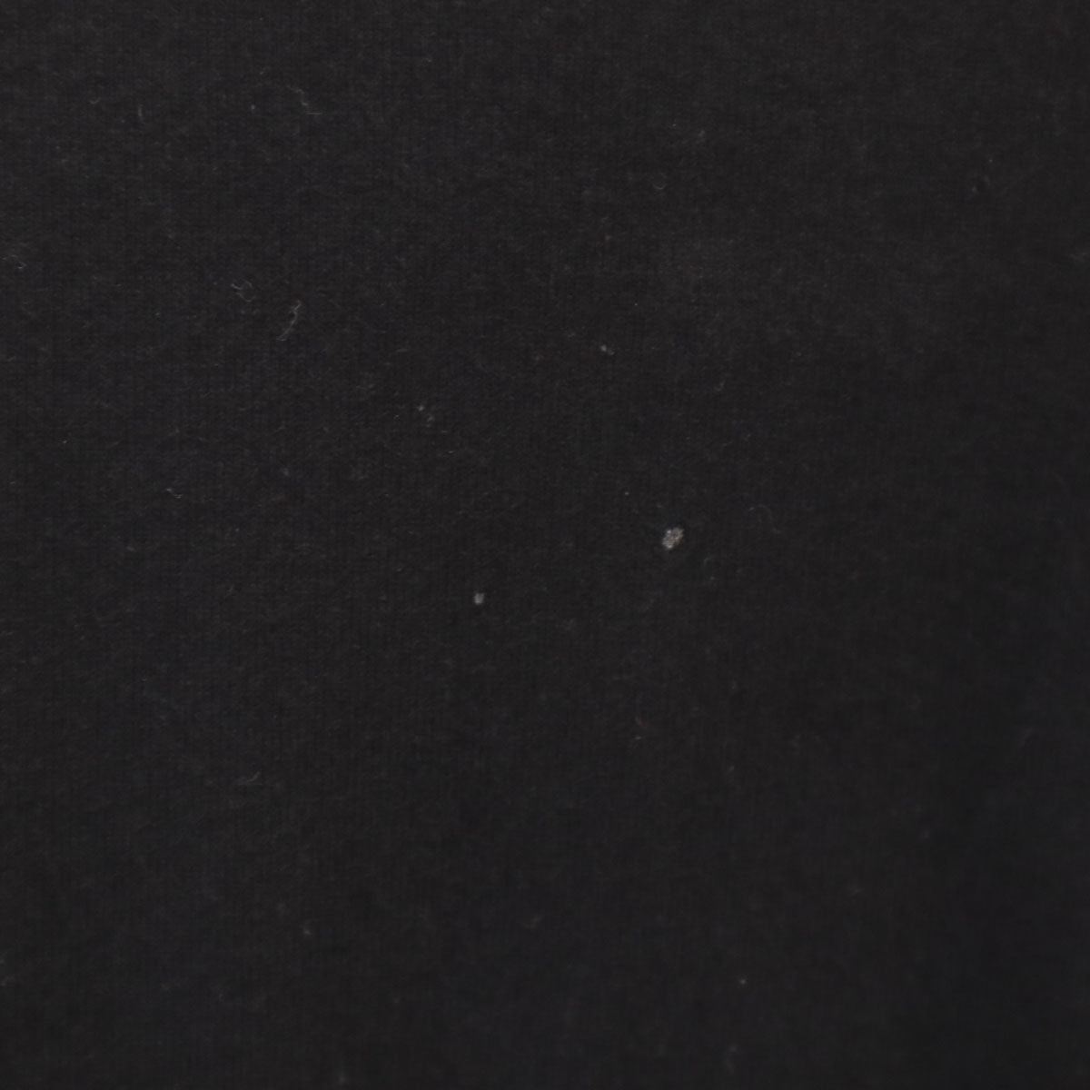 XLARGE エクストララージ バックロゴ 半袖 Tシャツ L ブラック メンズ