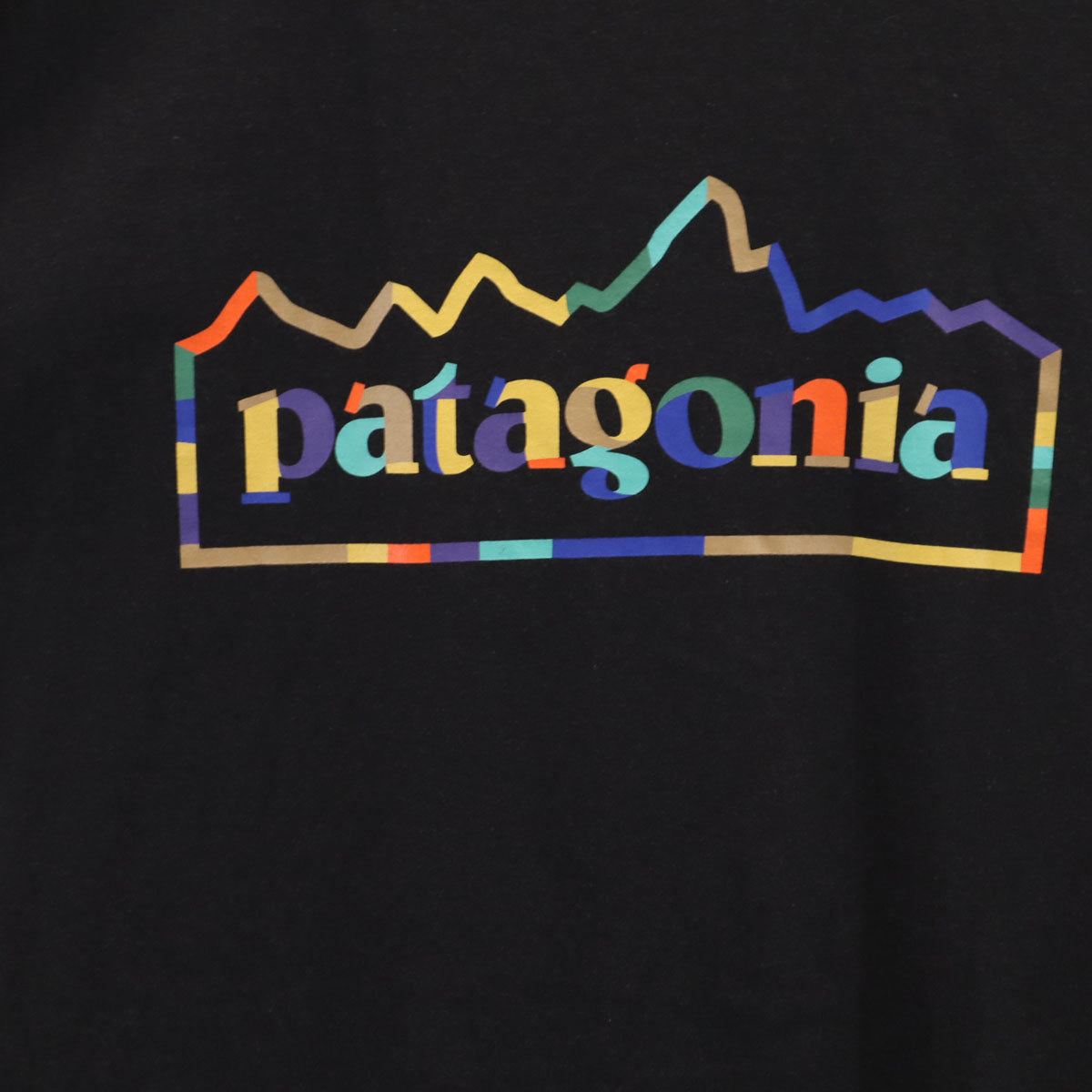 未使用 patagonia パタゴニア バックロゴ 半袖 ユニティ フィッツ レスポンシビリティー Tシャツ M ブラック 37768SP25 アウトドア メンズ