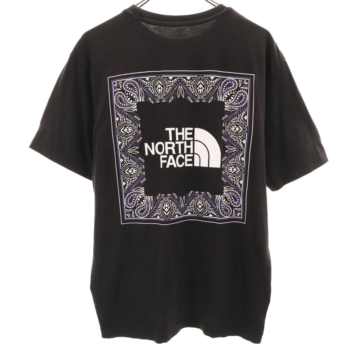 THE NORTH FACE ノースフェイス バックプリント 半袖 Tシャツ L ブラック NT7UN48A アウトドア メンズ