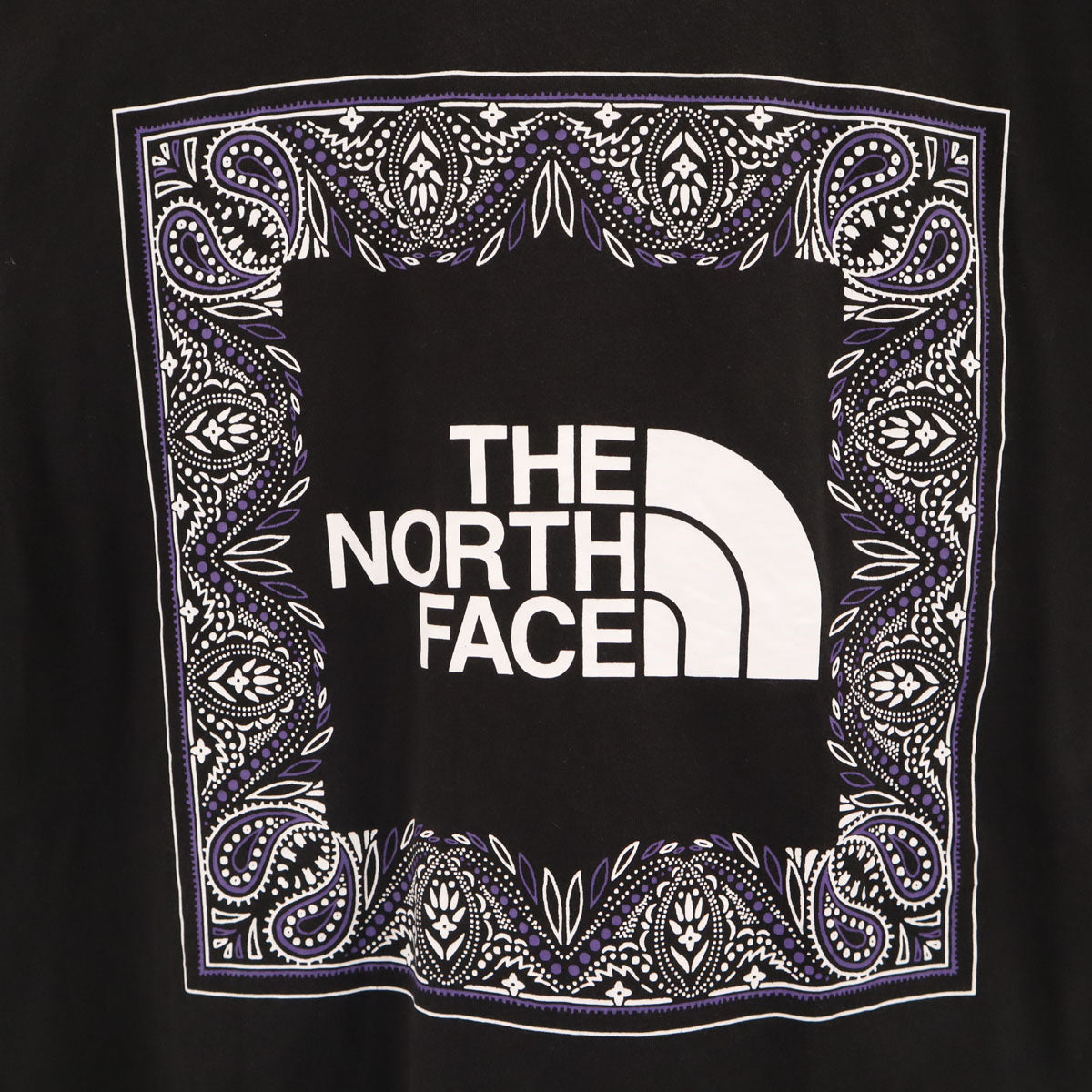 THE NORTH FACE ノースフェイス バックプリント 半袖 Tシャツ L ブラック NT7UN48A アウトドア メンズ