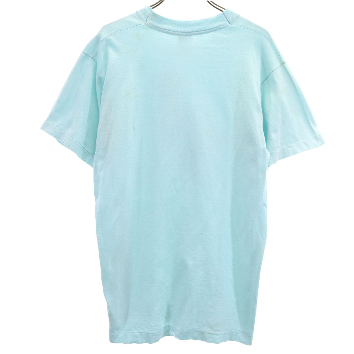 FRUIT OF THE LOOM フルーツオブザルーム 90s USA製 オールド ダック 半袖 Tシャツ L 水色 シングルステッチ メンズ