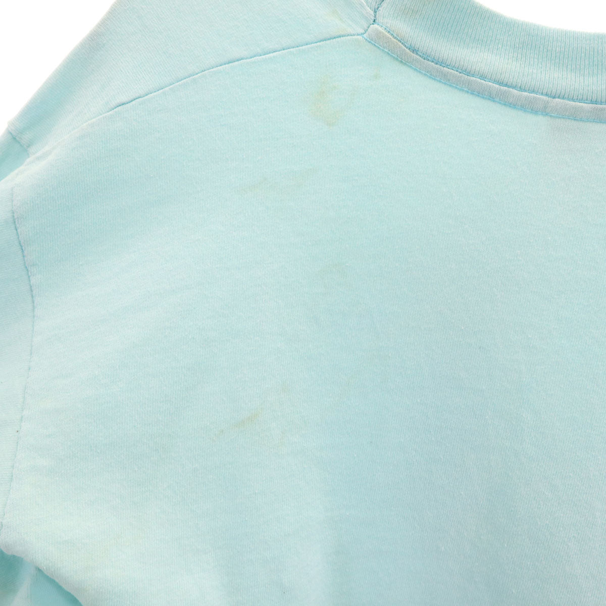 FRUIT OF THE LOOM フルーツオブザルーム 90s USA製 オールド ダック 半袖 Tシャツ L 水色 シングルステッチ メンズ