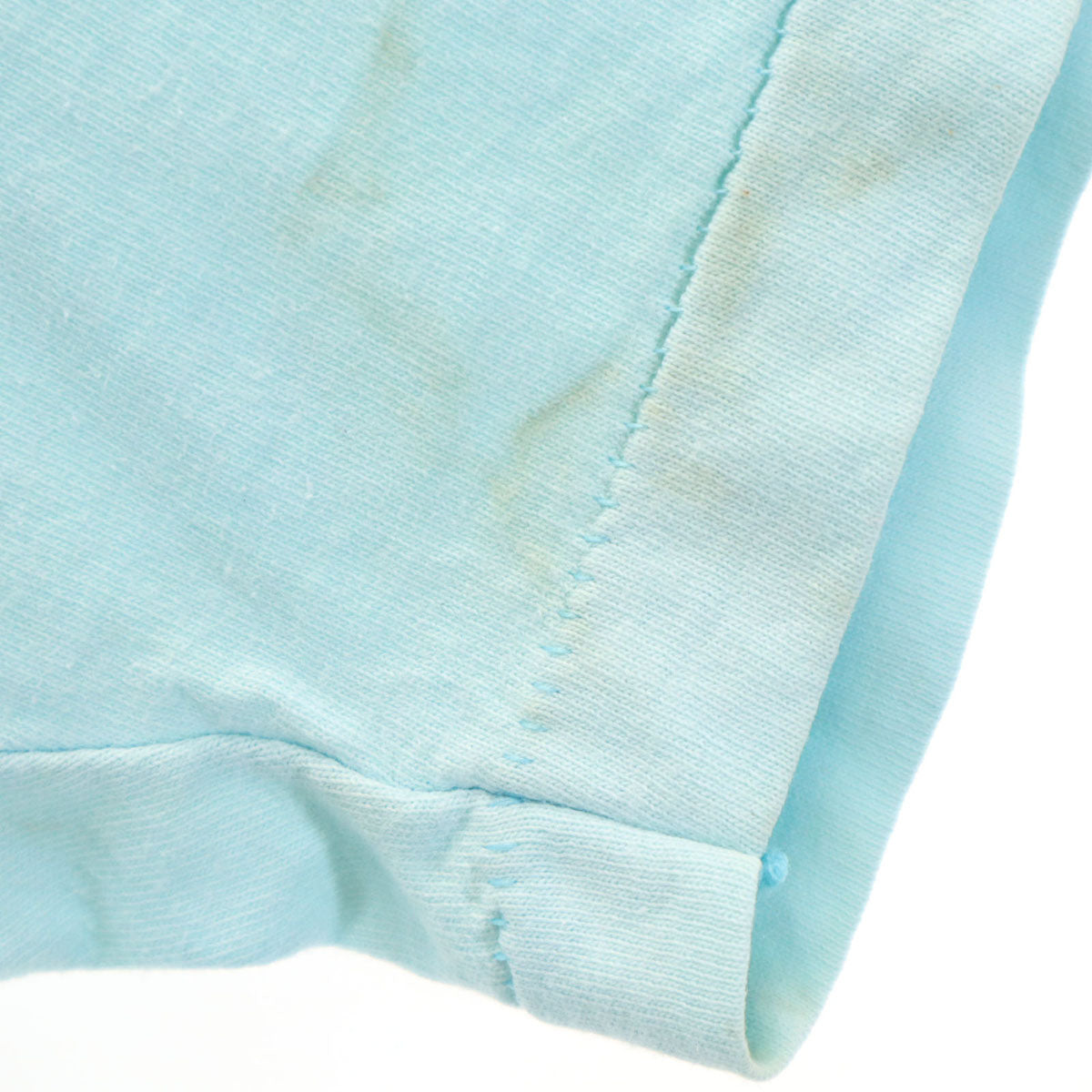 FRUIT OF THE LOOM フルーツオブザルーム 90s USA製 オールド ダック 半袖 Tシャツ L 水色 シングルステッチ メンズ