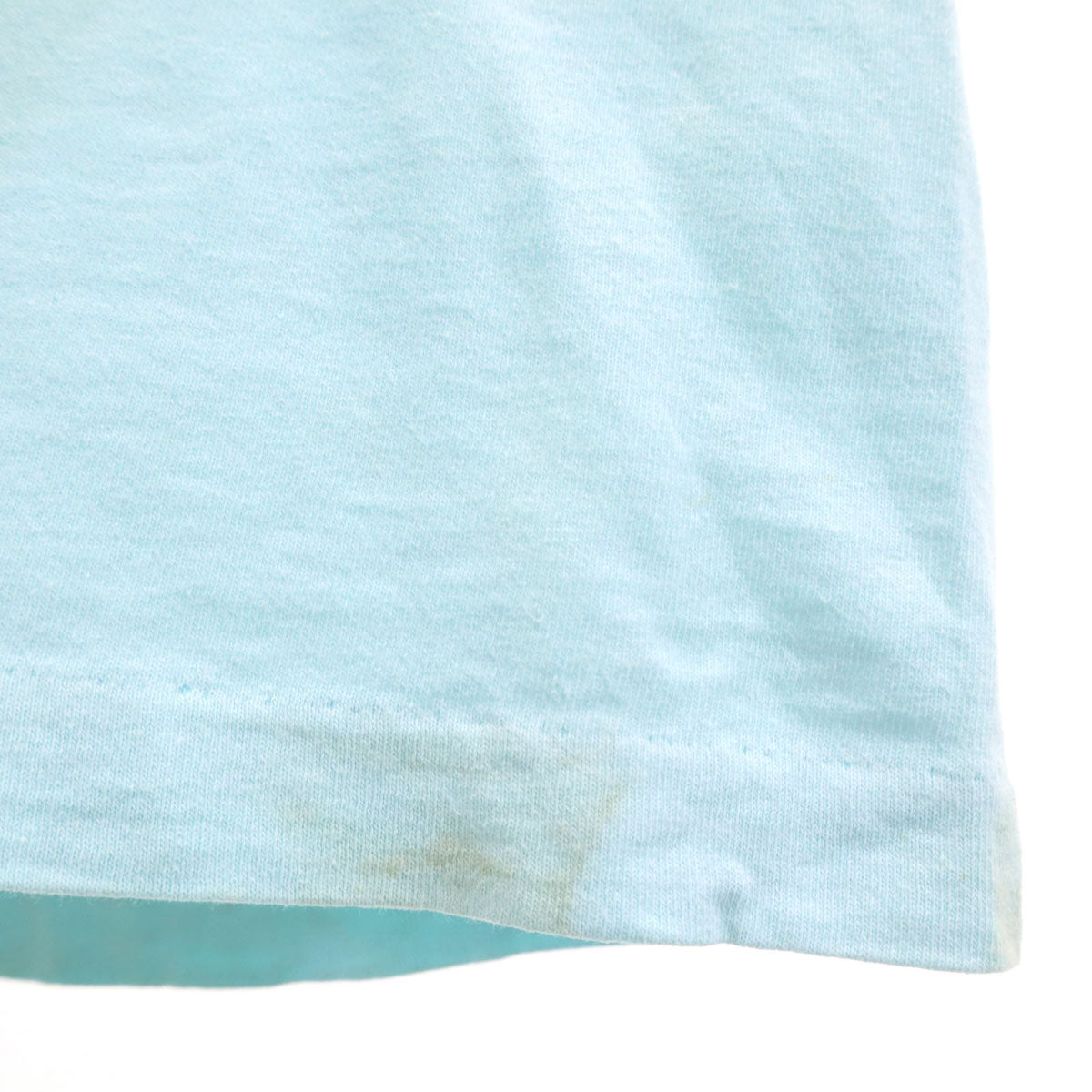 FRUIT OF THE LOOM フルーツオブザルーム 90s USA製 オールド ダック 半袖 Tシャツ L 水色 シングルステッチ メンズ