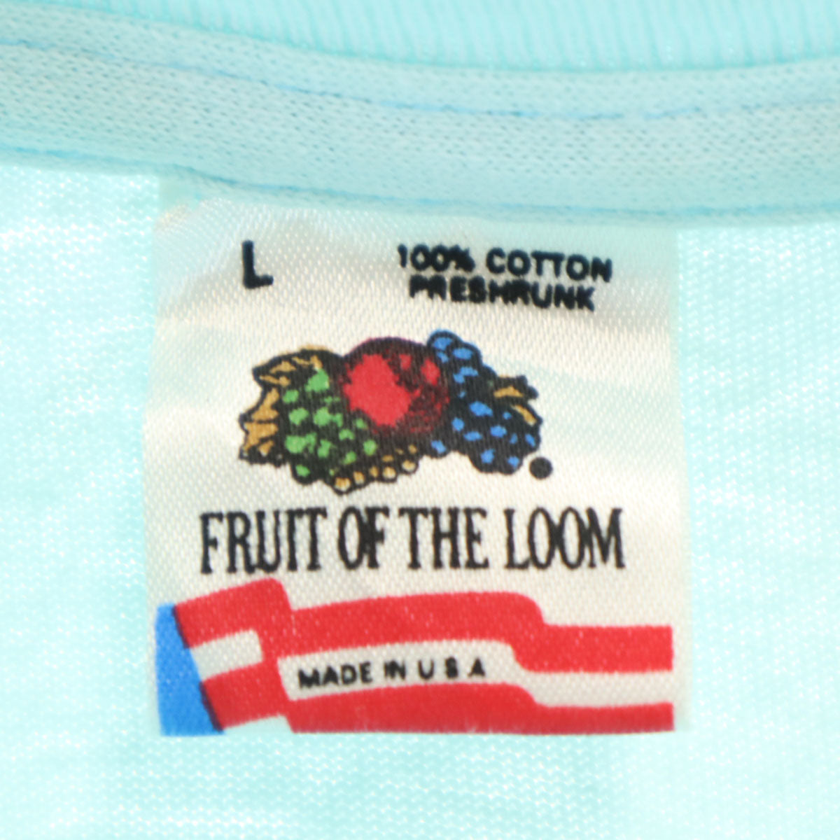 FRUIT OF THE LOOM フルーツオブザルーム 90s USA製 オールド ダック 半袖 Tシャツ L 水色 シングルステッチ メンズ