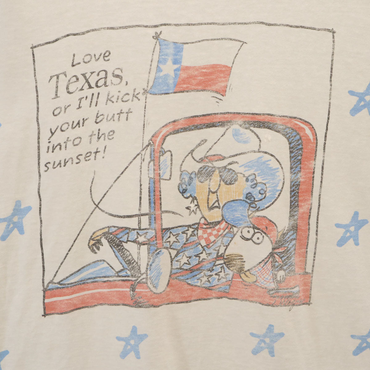 FRUIT OF THE LOOM フルーツオブザルーム 80s 90s USA製 オールド TEXAS 半袖 Tシャツ L ホワイト シングルステッチ メンズ