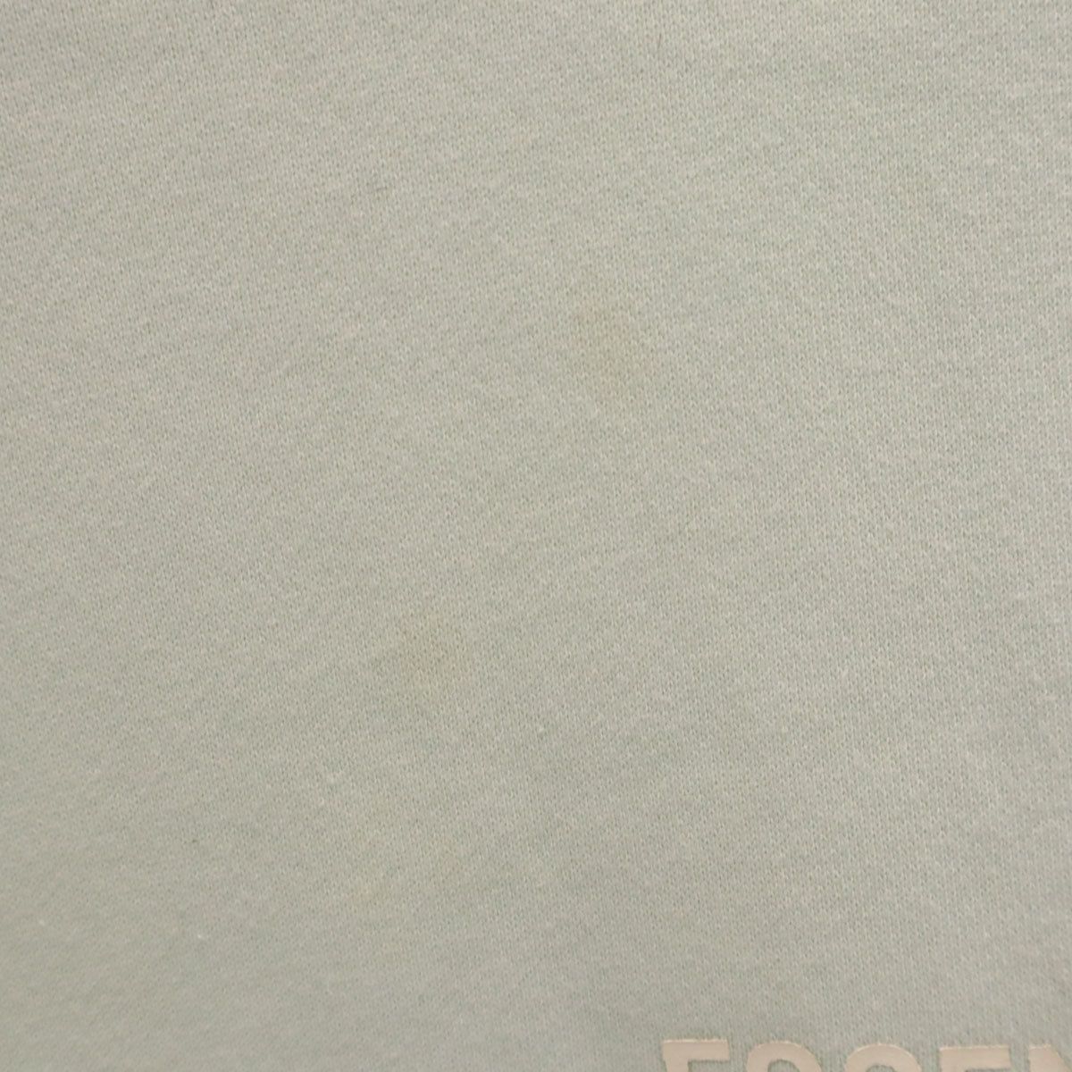 FOG ESSENTIALS エフオージー エッセンシャルズ 長袖 スウェットパーカー S ブルーグレー 裏起毛 メンズ