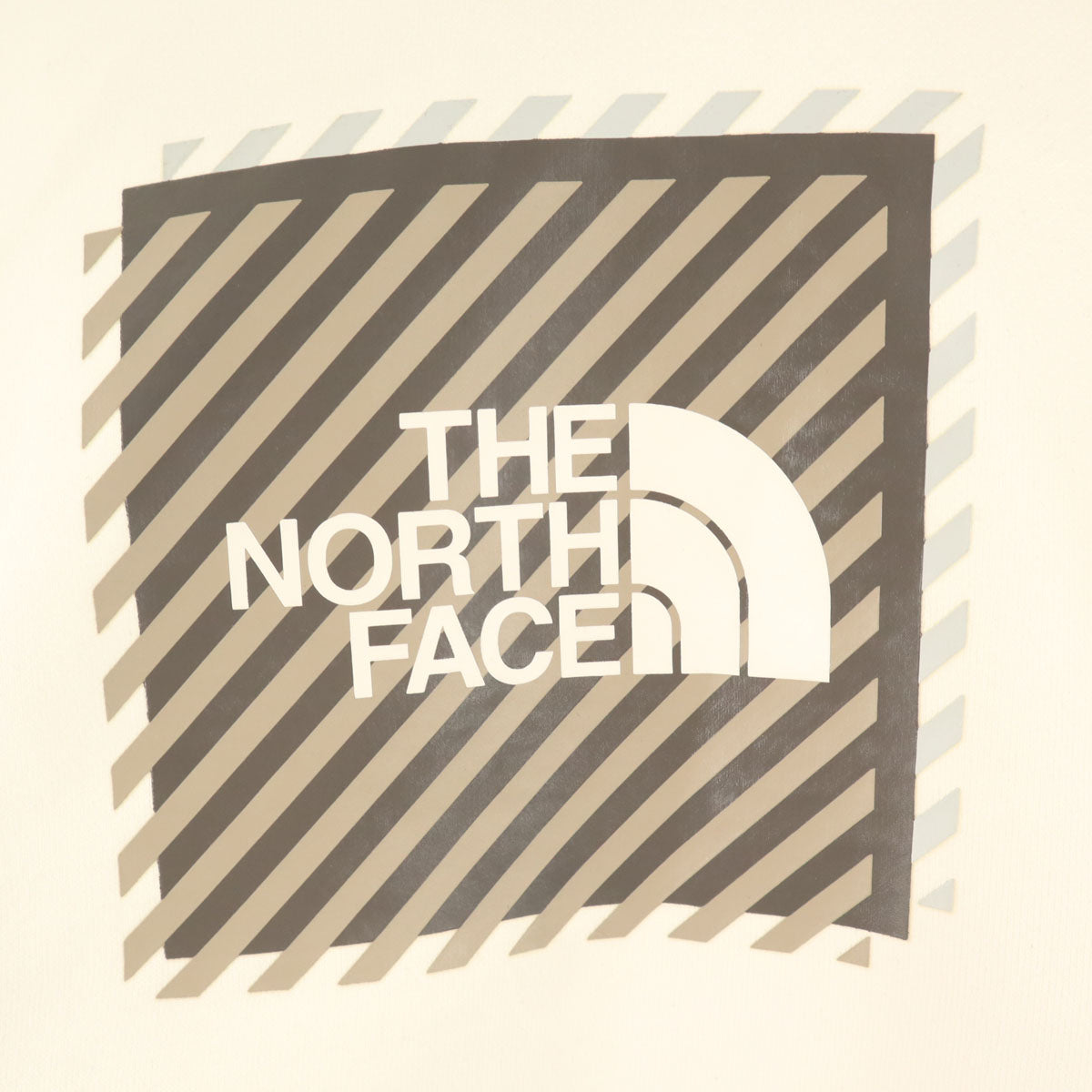 THE NORTH FACE ノースフェイス 長袖 ブレイブ スウェットパーカー L ホワイト NTW62161 アウトドア 裏起毛 レディース
