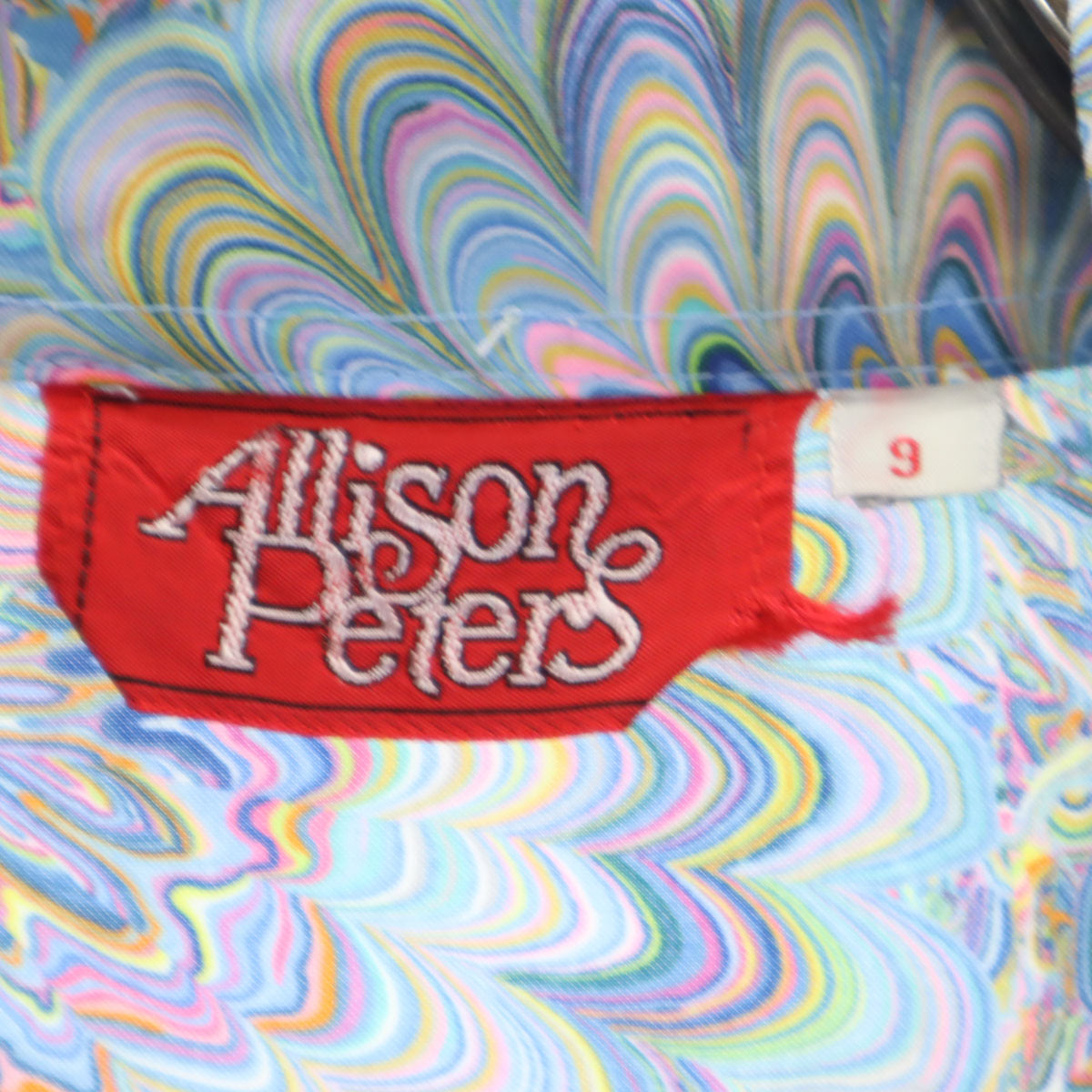 Allison Peters 70s ヴィンテージ サイケ柄 長袖 シャツ 9 マルチ レディース