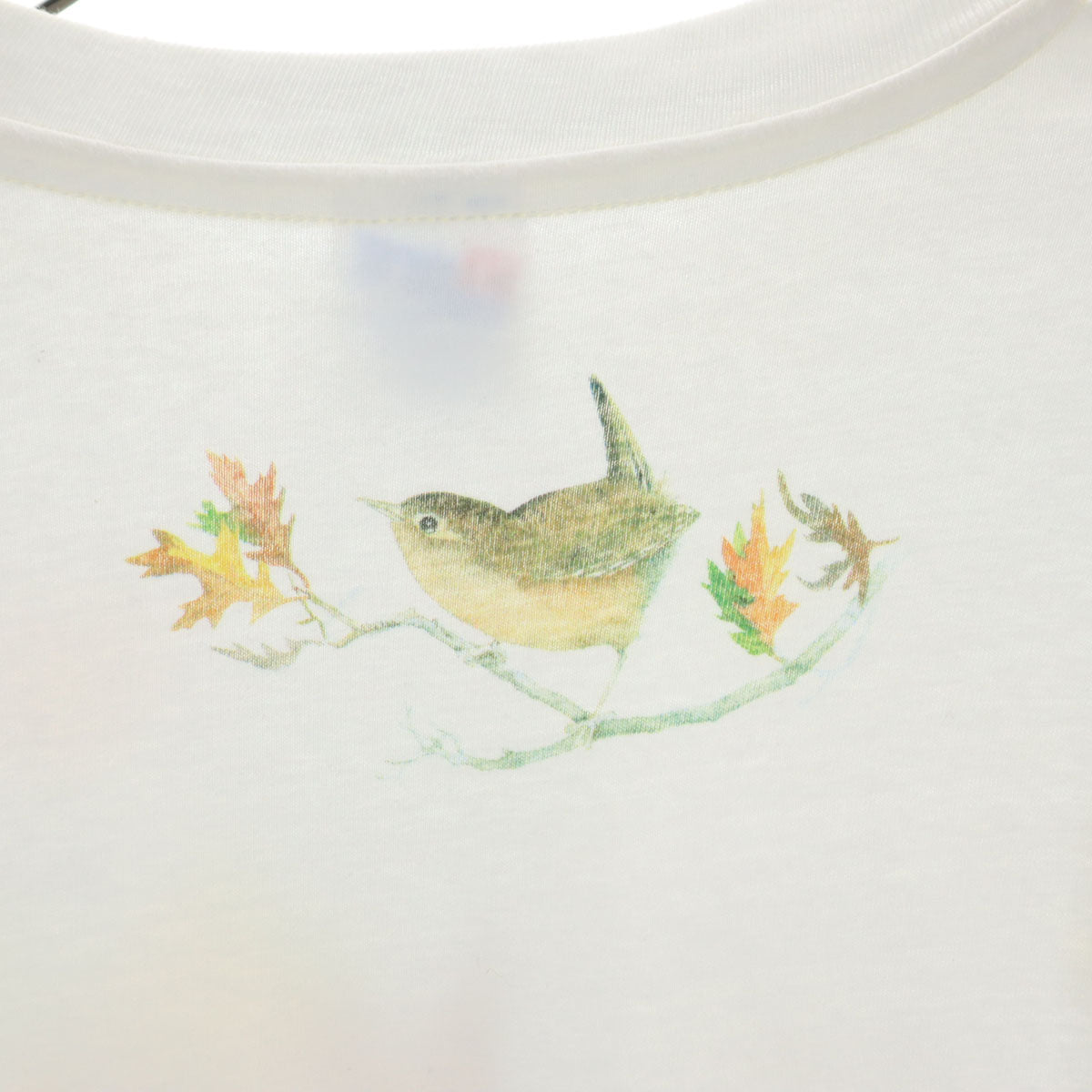 Hanes ヘインズ 90s オールド 染み込みプリント アニマル柄 花柄 長袖 Tシャツ L ホワイト メンズ