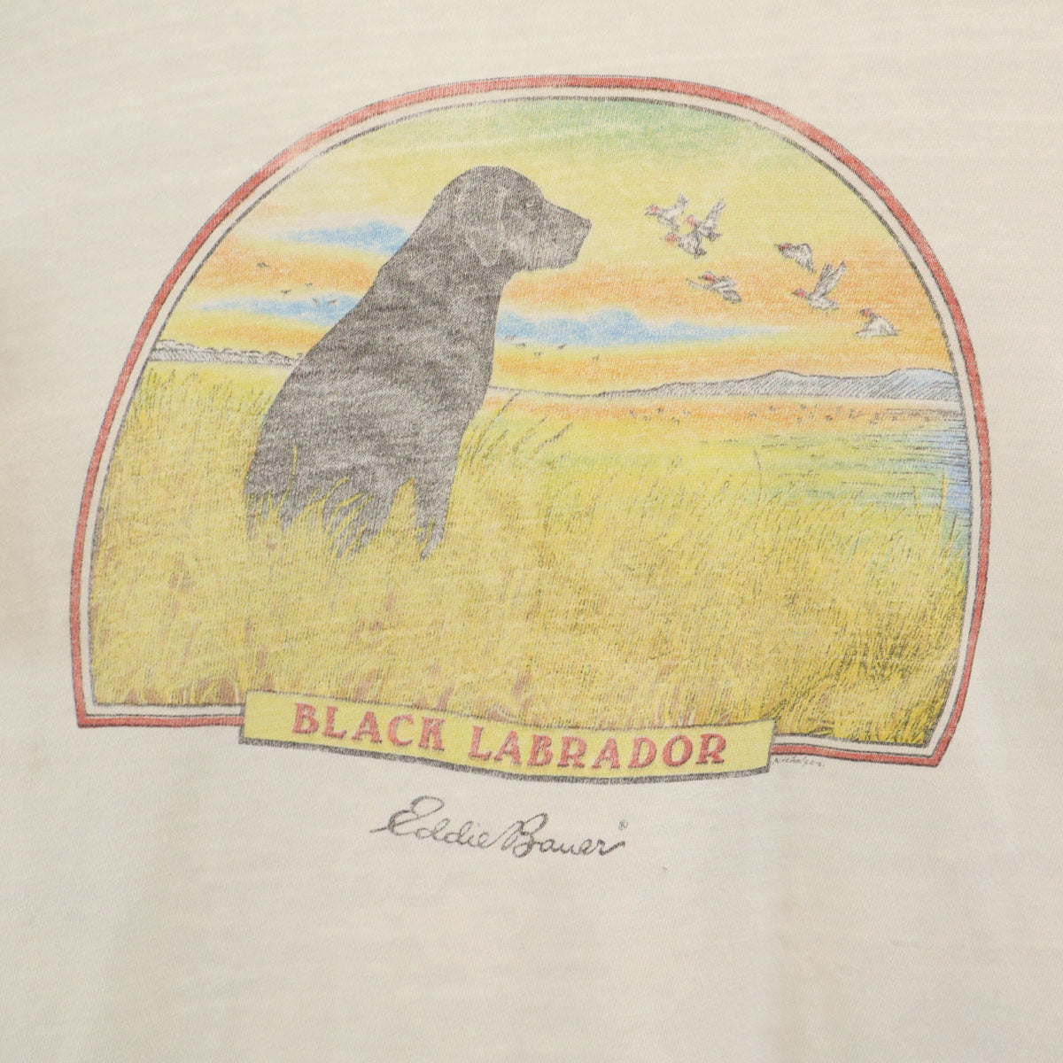 Eddie Bauer エディバウアー 90s オールド ブラックラブラドール 半袖 染み込みプリント Tシャツ ホワイト シングルステッチ メンズ