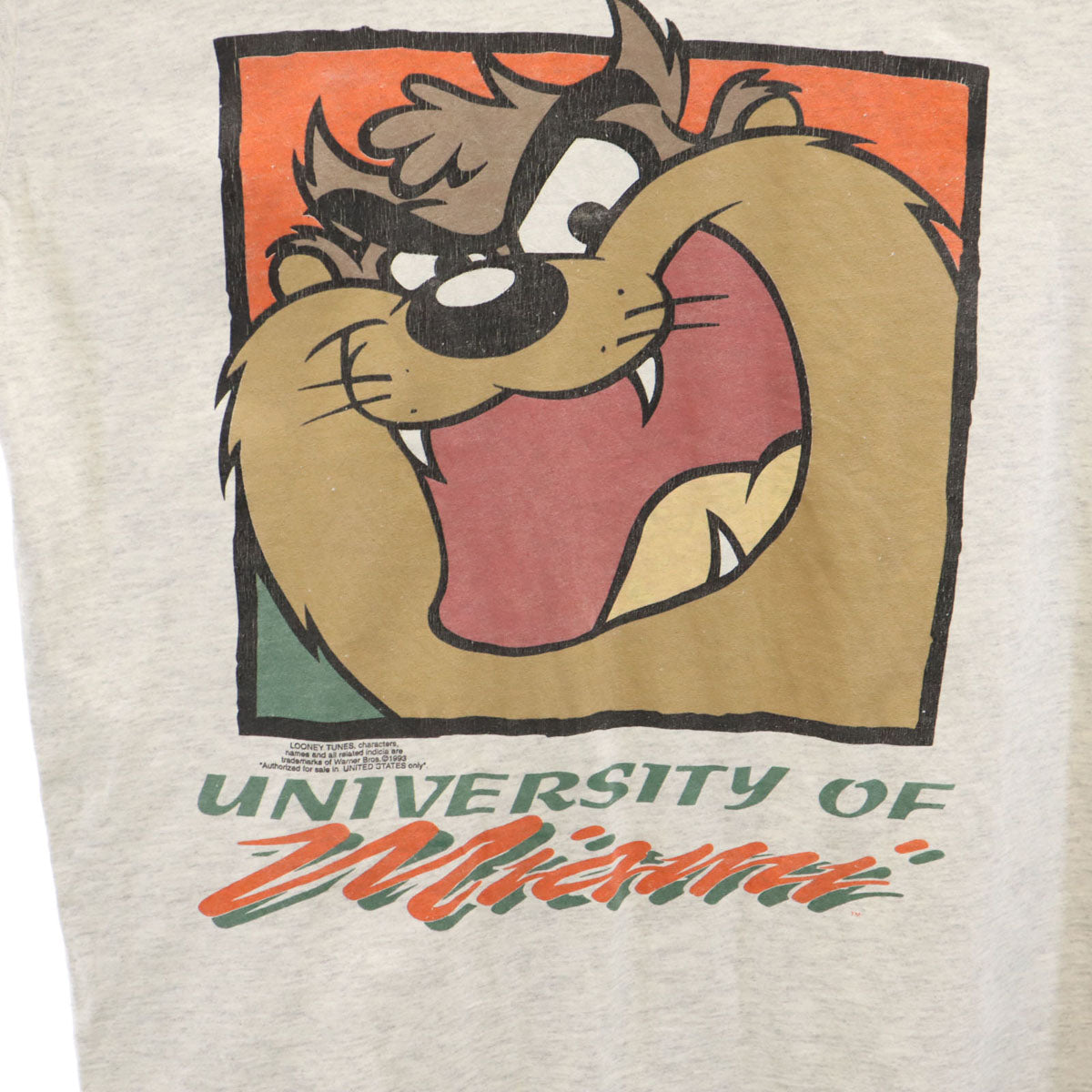 Warner Bros ワーナーブラザーズ 90s オールド ルーニーテューンズ タズマニアンデビル 半袖 Tシャツ グレー メンズ