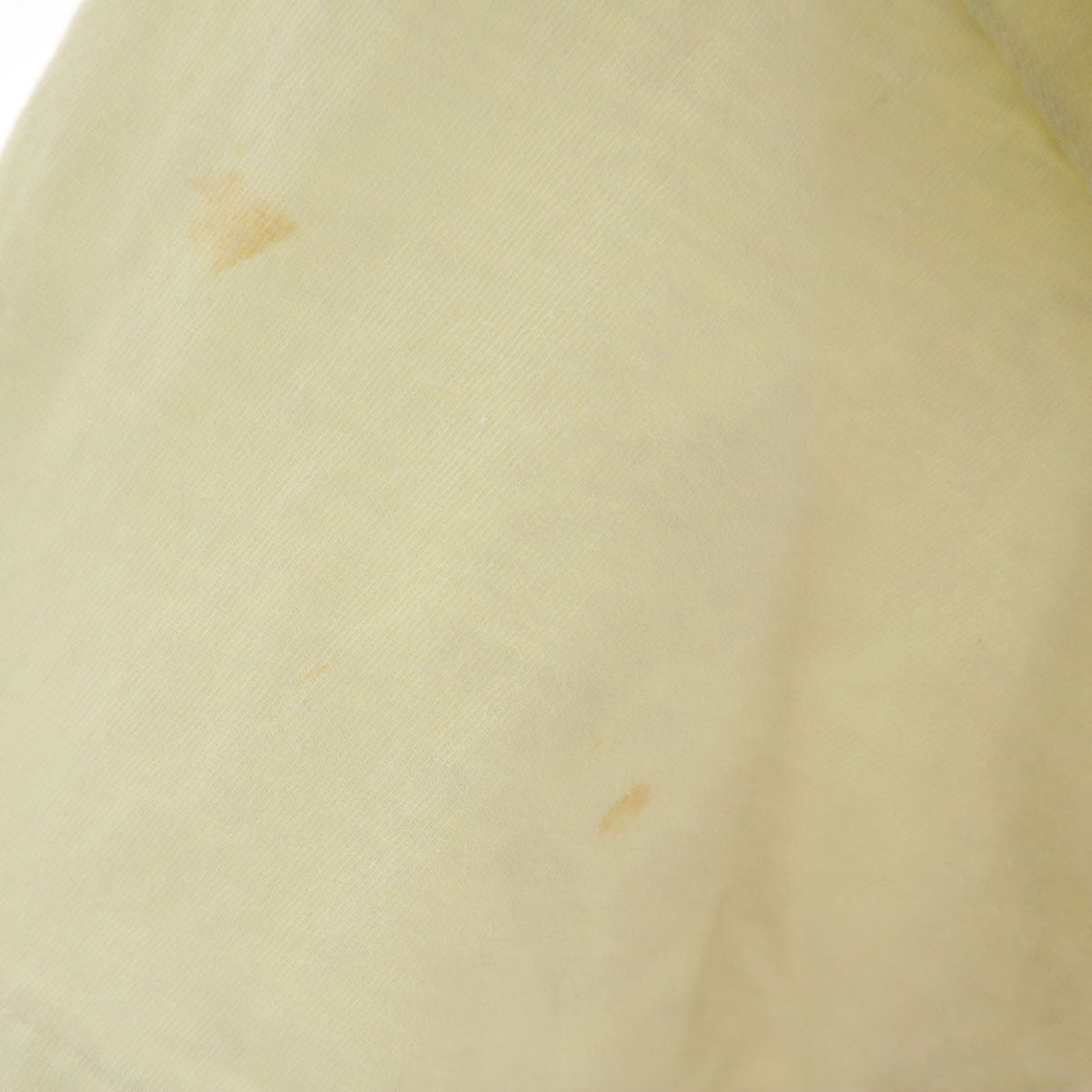 Hanes ヘインズ 80s 90s オールド USA製 スカルホーン 半袖 シングルステッチ 偉人 Tシャツ XL ベージュ メンズ