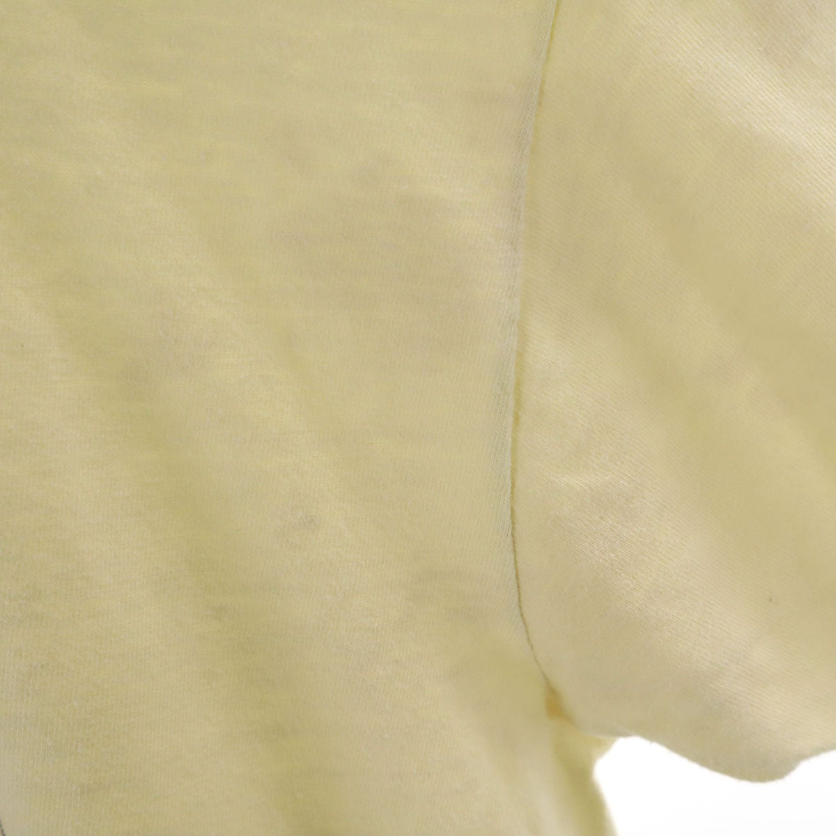 Hanes ヘインズ 80s 90s オールド USA製 スカルホーン 半袖 シングルステッチ 偉人 Tシャツ XL ベージュ メンズ