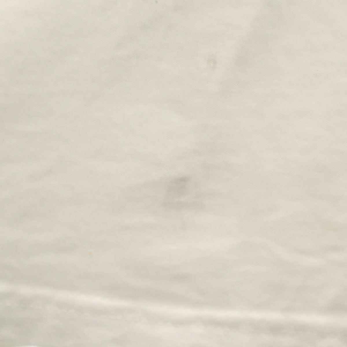 Hanes ヘインズ 90s オールド USA製 BITCH ビッチ 半袖 シングルステッチ メッセージ Tシャツ XL ホワイト メンズ