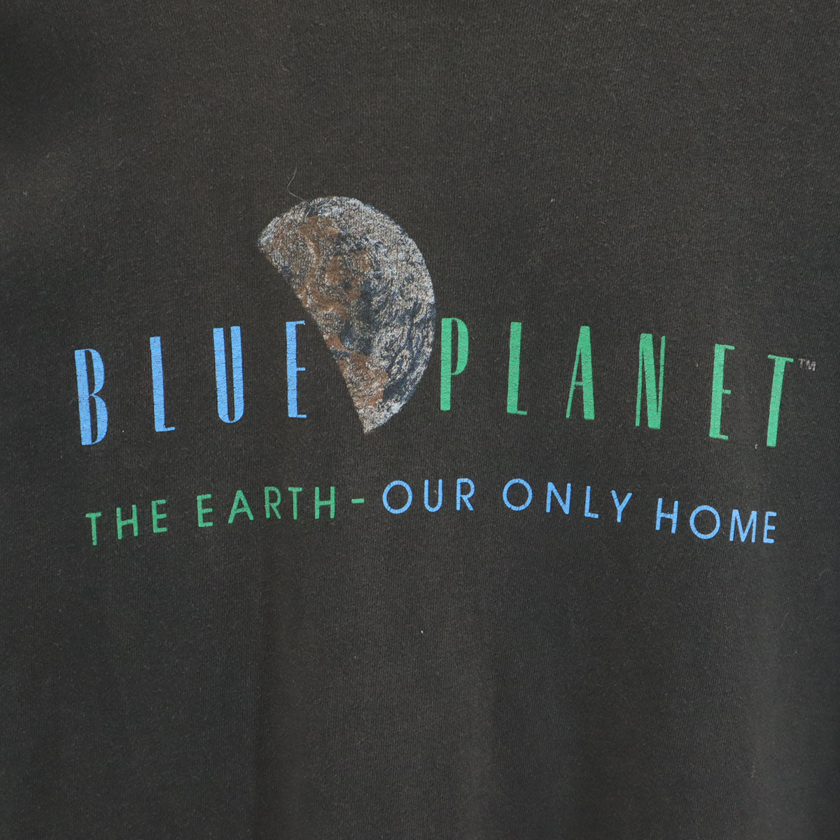 FRUIT OF THE LOOM フルーツオブザルーム 90s オールド USA製 地球 半袖 シングルステッチ Tシャツ L ブラック BLUE PLANET メンズ