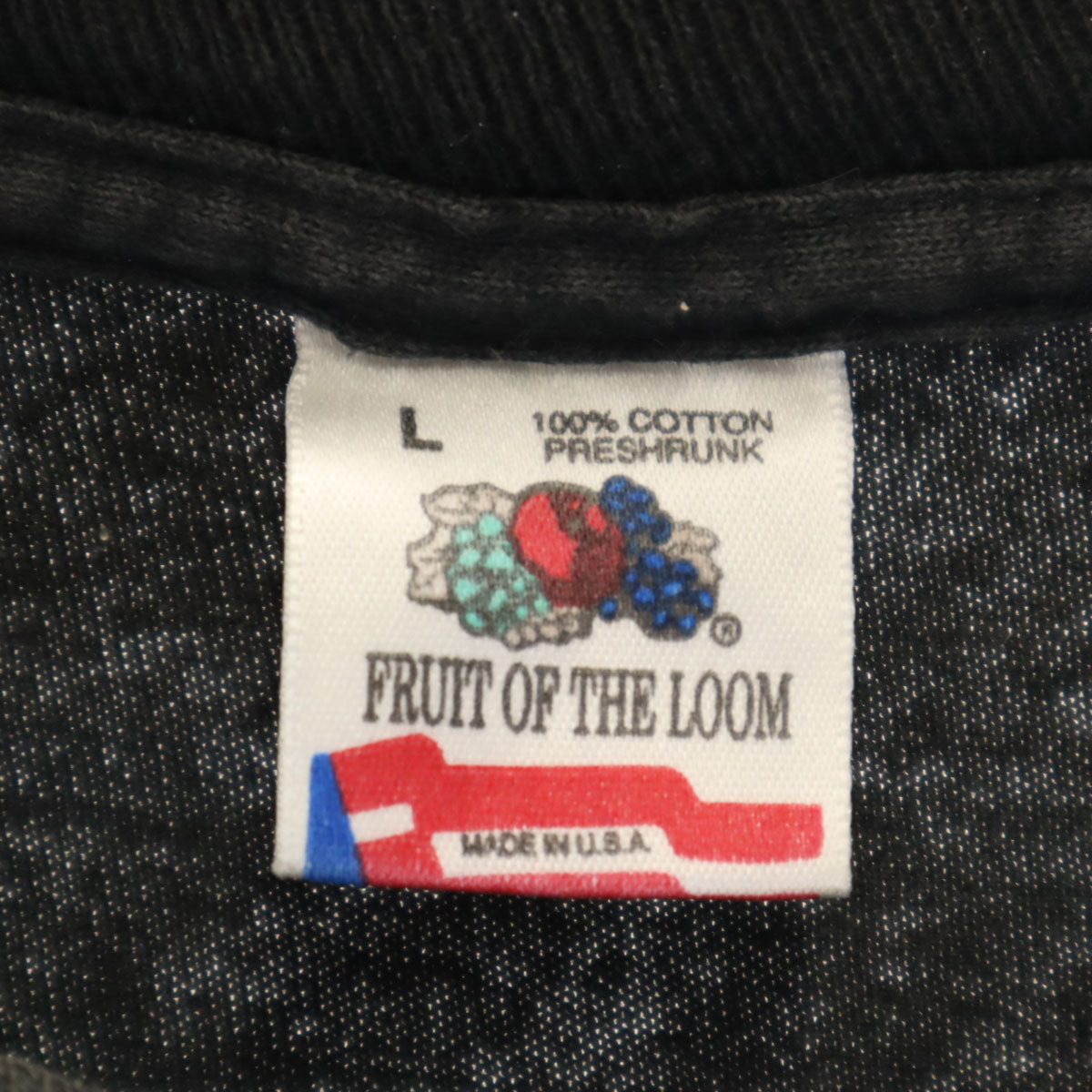 FRUIT OF THE LOOM フルーツオブザルーム 90s オールド USA製 地球 半袖 シングルステッチ Tシャツ L ブラック BLUE PLANET メンズ
