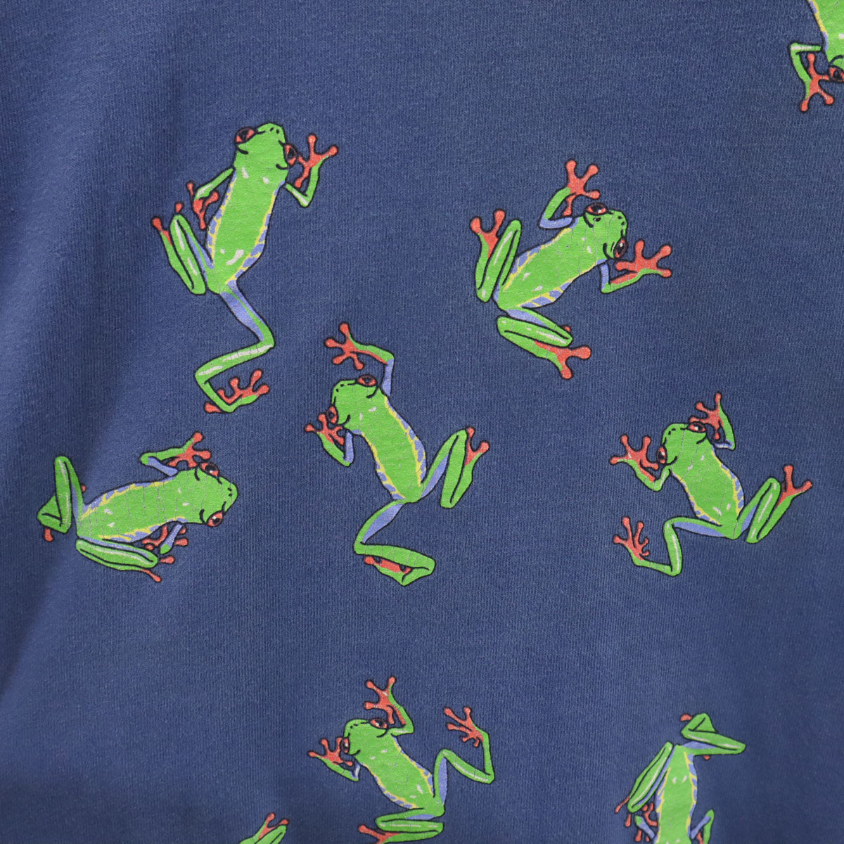 HARBORSIDE GRAPHICS ハーバーサイドグラフィックス 90s オールド USA製 蛙 半袖 シングルステッチ 両面プリント Tシャツ L ブルー メンズ