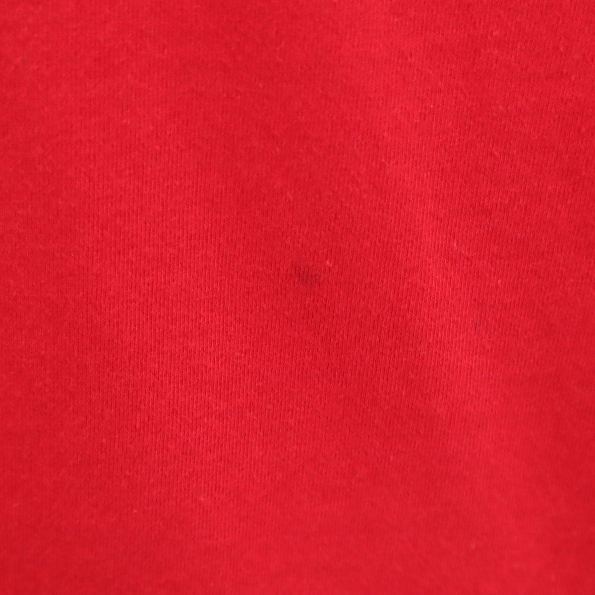 STUSSY ステューシー 90s オールド 紺タグ 半袖 Tシャツ M レッド メンズ