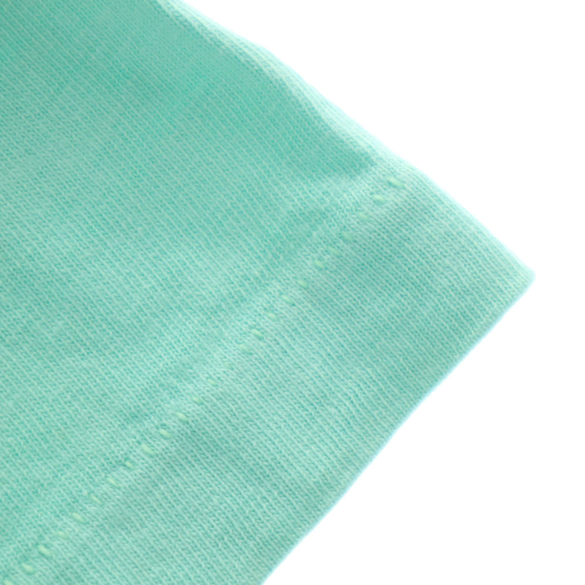 Hanes ヘインズ 80s USA製 ヴィンテージ スネーク 半袖 Tシャツ M ミント BEEFY-T シングルステッチ メンズ