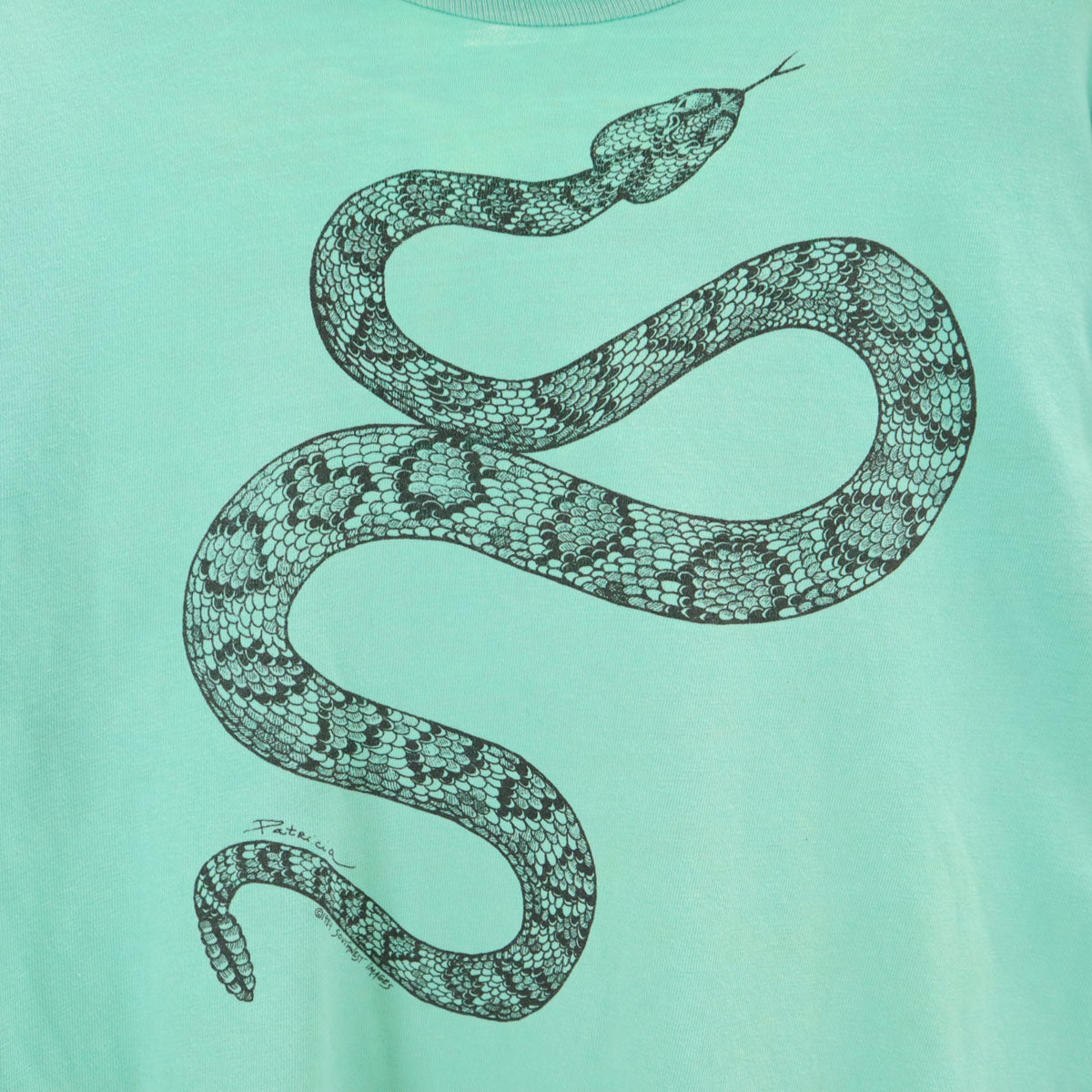 Hanes ヘインズ 80s USA製 ヴィンテージ スネーク 半袖 Tシャツ M ミント BEEFY-T シングルステッチ メンズ