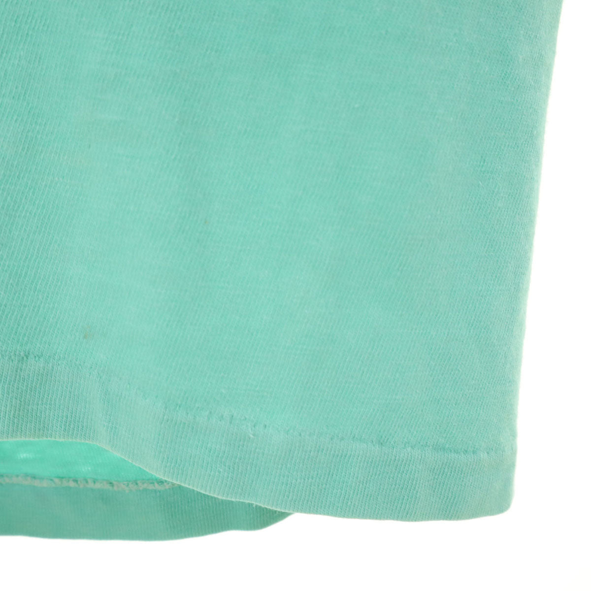 Hanes ヘインズ 80s USA製 ヴィンテージ スネーク 半袖 Tシャツ M ミント BEEFY-T シングルステッチ メンズ