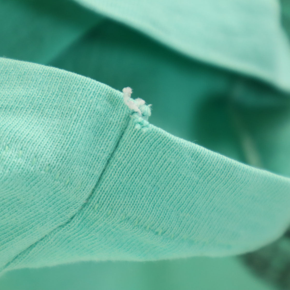 Hanes ヘインズ 80s USA製 ヴィンテージ スネーク 半袖 Tシャツ M ミント BEEFY-T シングルステッチ メンズ