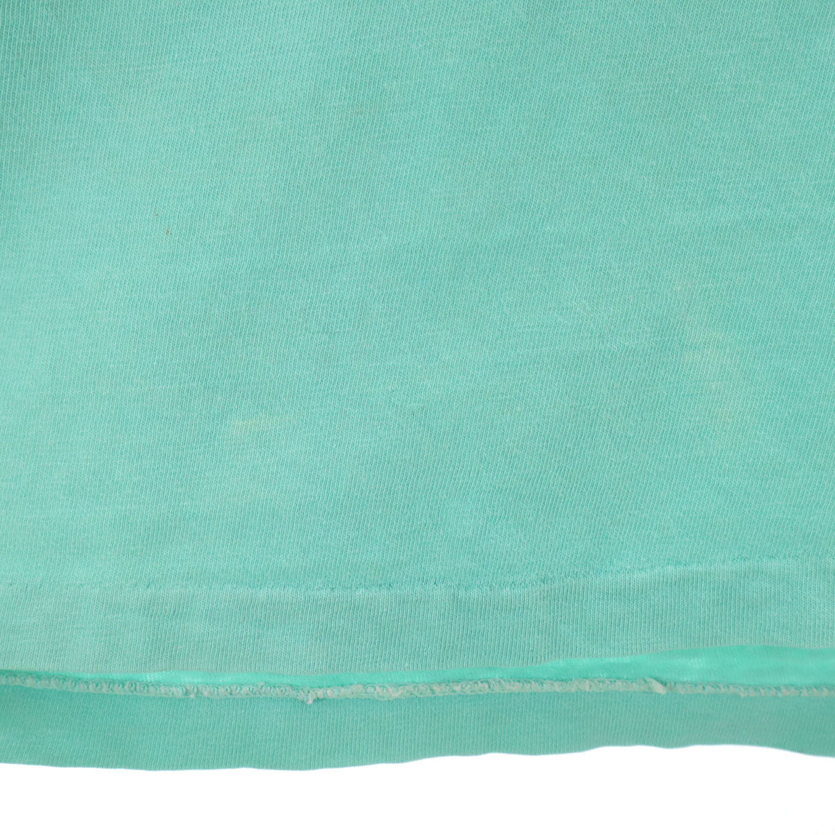 Hanes ヘインズ 80s USA製 ヴィンテージ スネーク 半袖 Tシャツ M ミント BEEFY-T シングルステッチ メンズ