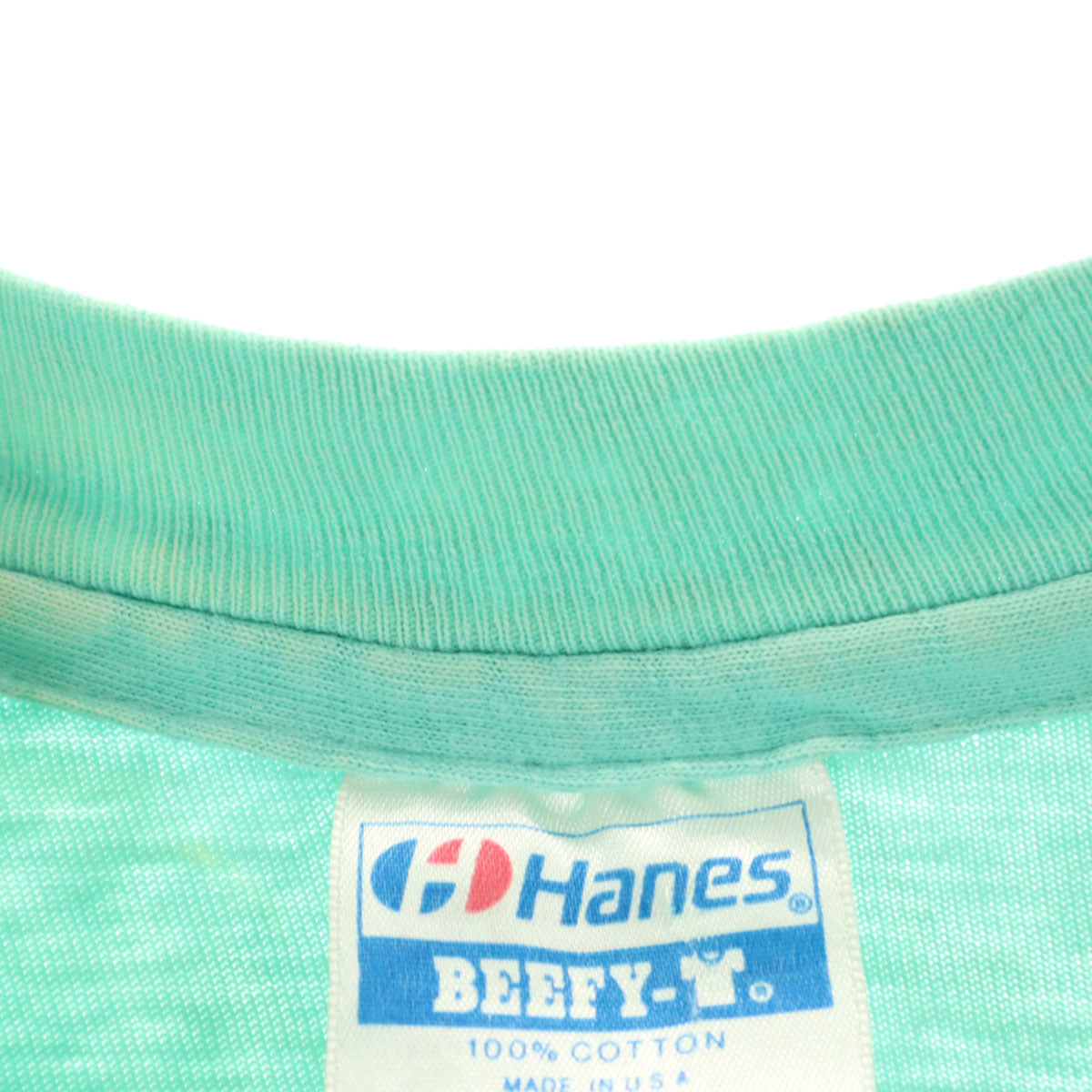 Hanes ヘインズ 80s USA製 ヴィンテージ スネーク 半袖 Tシャツ M ミント BEEFY-T シングルステッチ メンズ