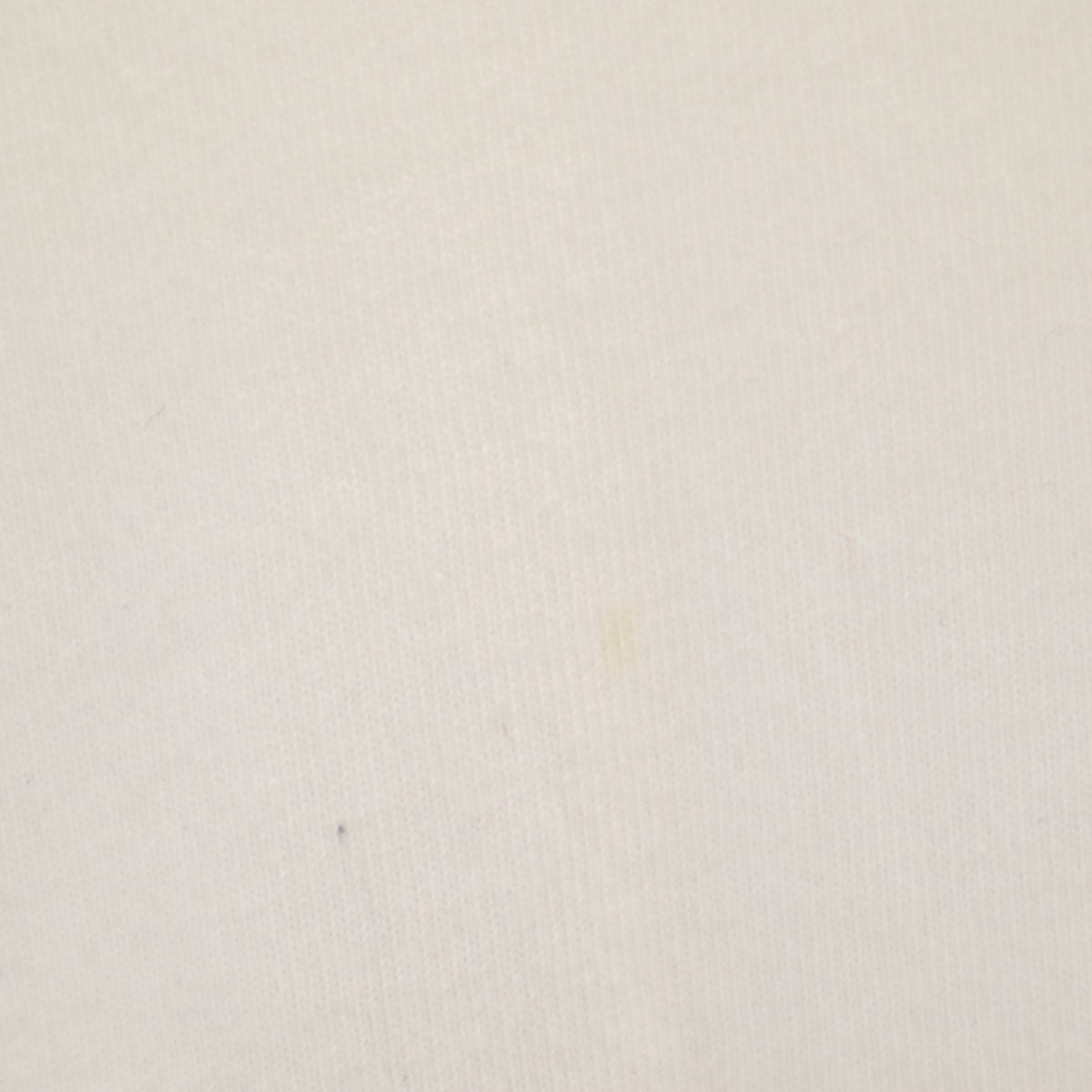 TAIN DOUBLEPUSH タインダブルプッシュ バック バンダナ 長袖 Tシャツ L ホワイト ロンT メンズ