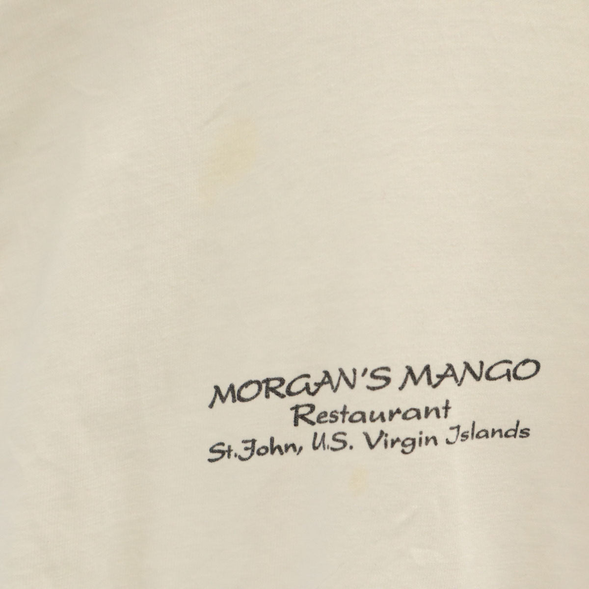 HARD LAVA 90s オールド バック トカゲ プリント 半袖 Tシャツ M ホワイト 爬虫類 メンズ