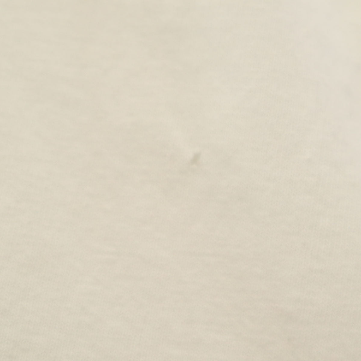 HARD LAVA 90s オールド バック トカゲ プリント 半袖 Tシャツ M ホワイト 爬虫類 メンズ