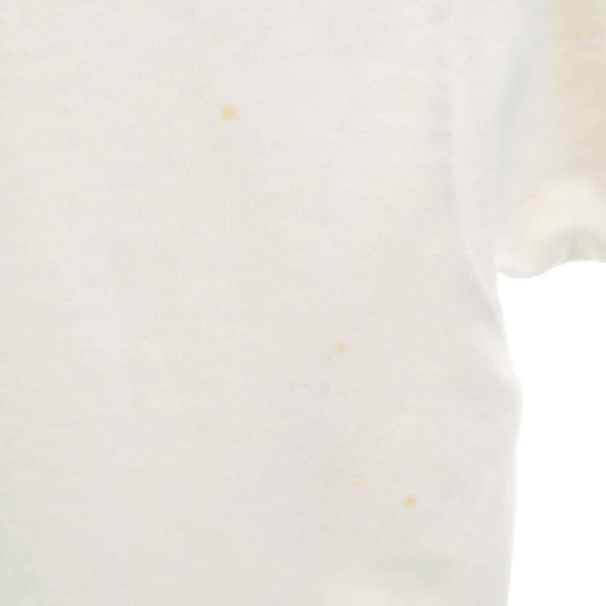 Hanes ヘインズ 90s USA製 オールド ドッグ 犬柄 半袖 Tシャツ XL ホワイト BEEFY-T メンズ