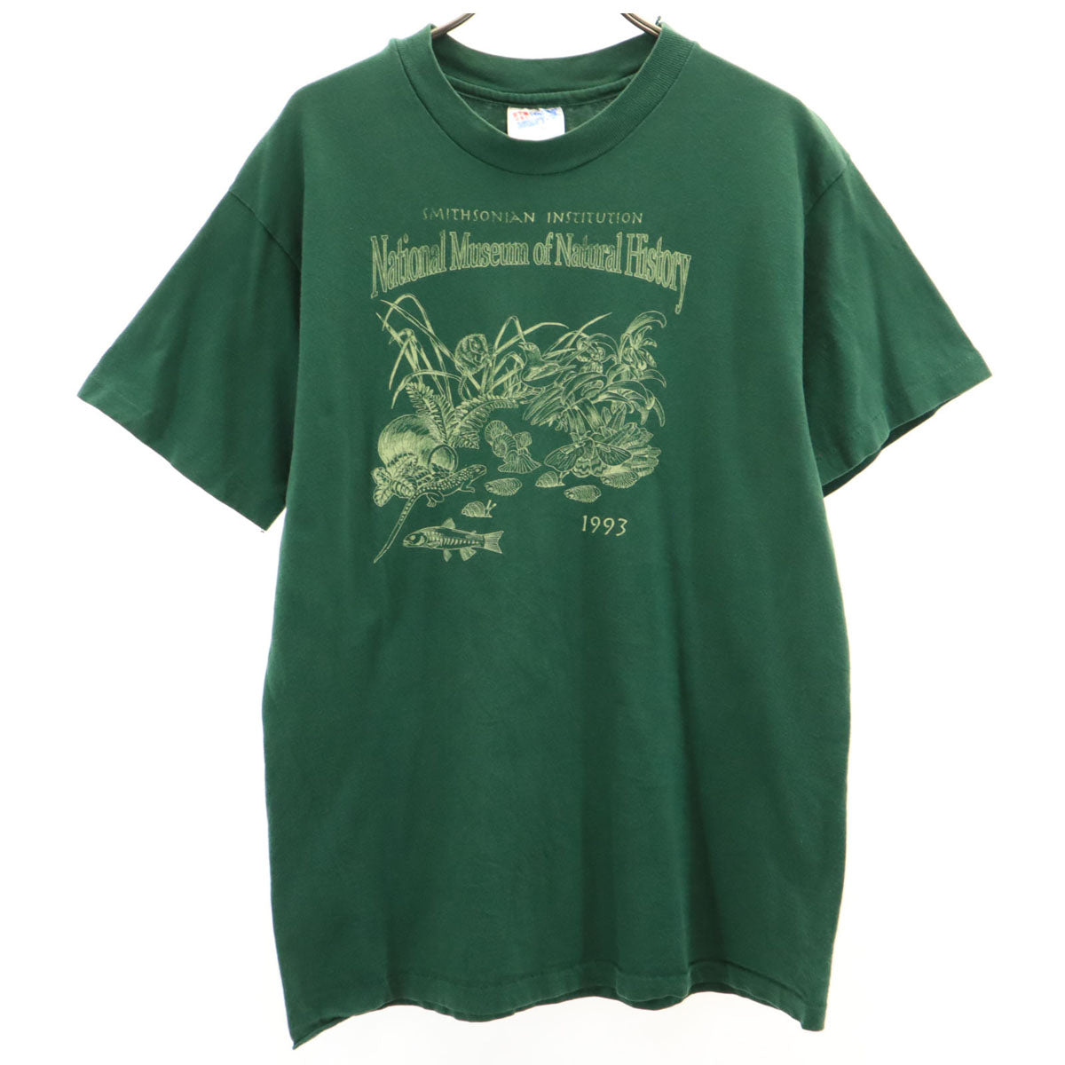 Hanes ヘインズ 90s USA製 オールド 半袖 Tシャツ M グリーン系 シングルステッチ メンズ