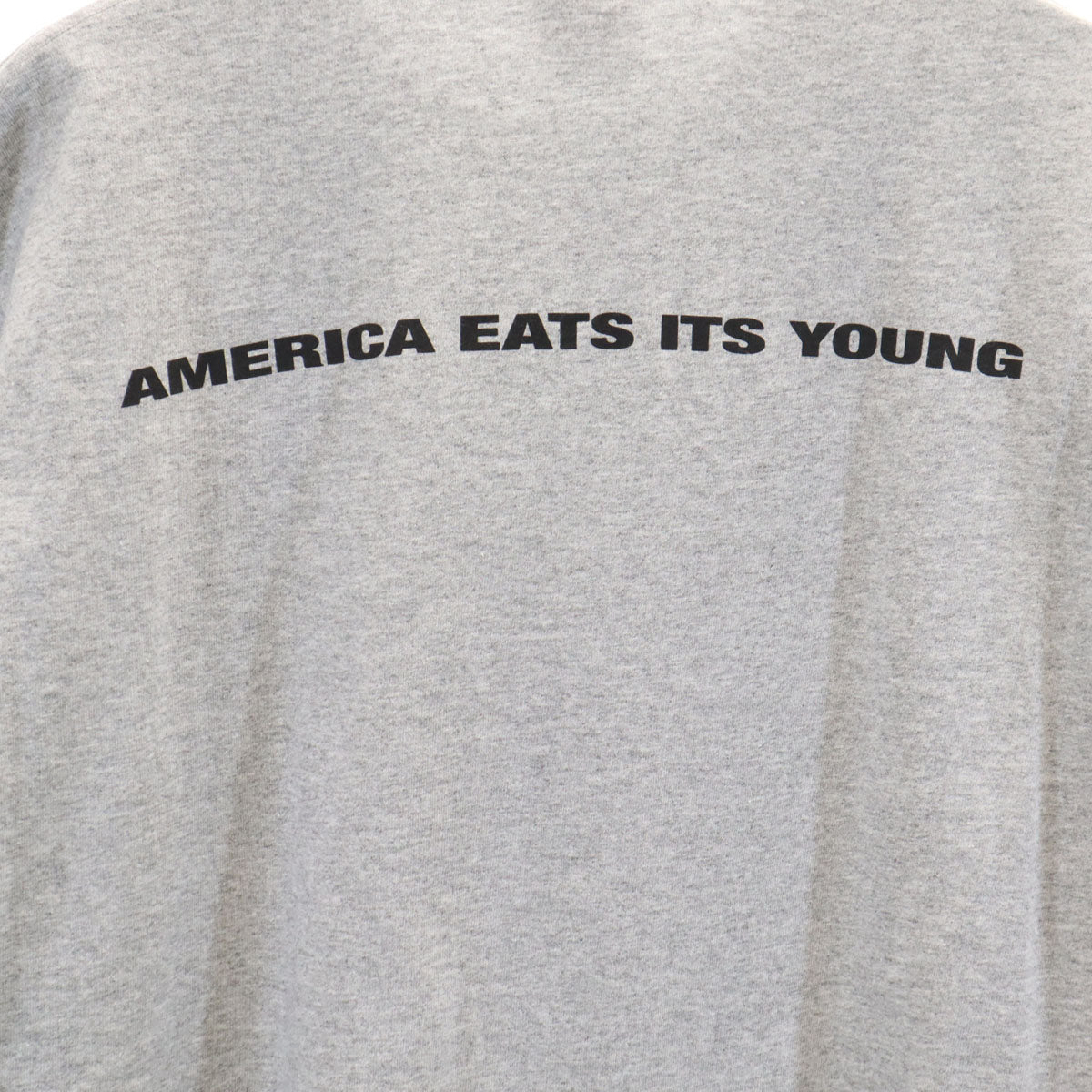 Supreme シュプリーム 21FW USA製 America Eats Its Young 半袖 Tシャツ M グレー メンズ