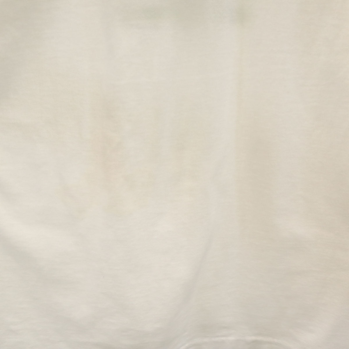 FRUIT OF THE LOOM フルーツオブザルーム 90s USA製 オールド 灯台 半袖 Tシャツ XL ホワイト シングルステッチ メンズ