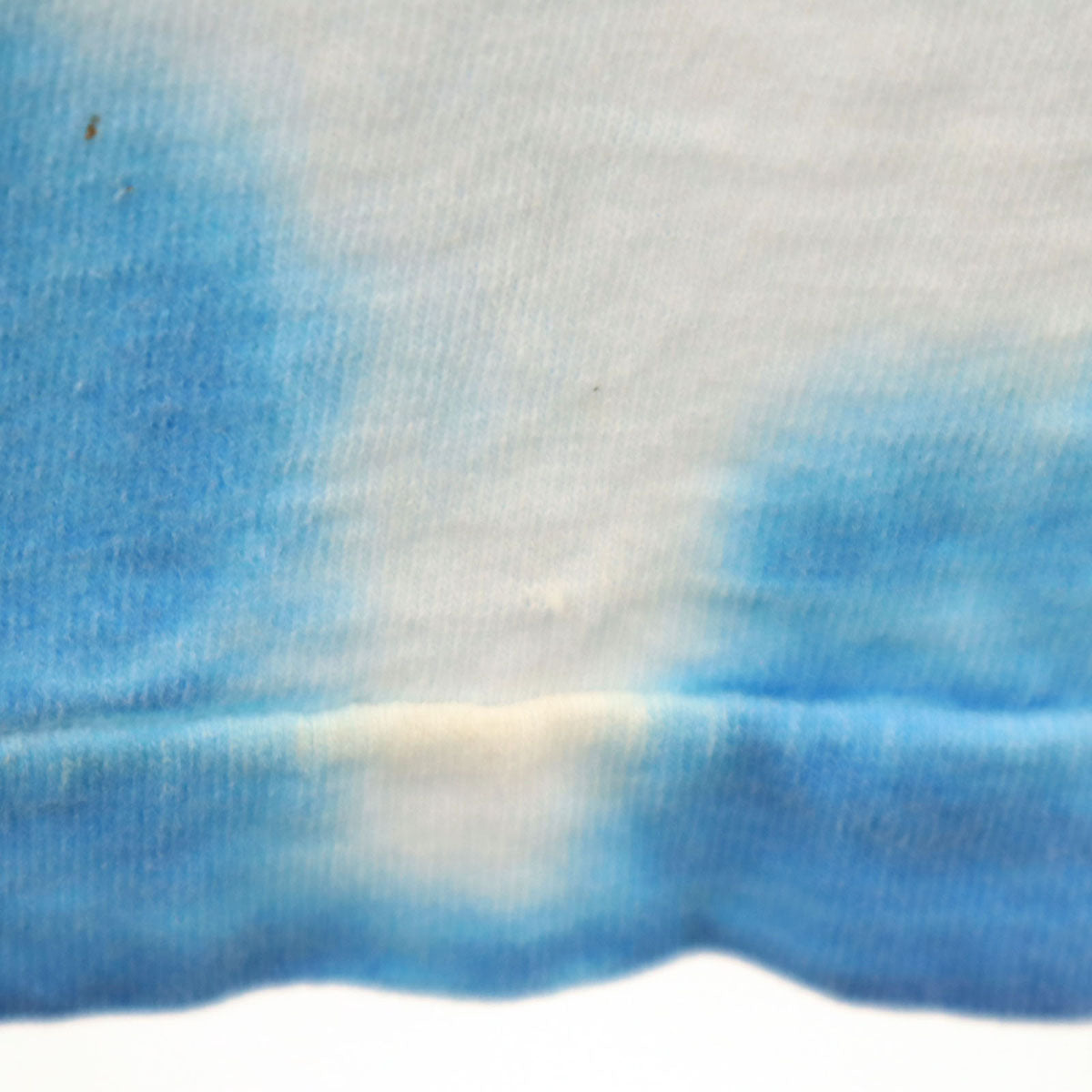 TULTEX タルテックス 00s オールド ルーニー・テューンズ トゥイーティー 半袖 Tシャツ L ブルー タイダイ染め メンズ