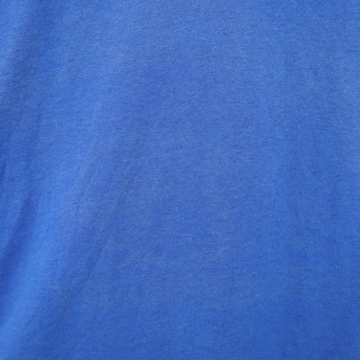 FRUIT OF THE LOOM BEST フルーツオブザルーム ベスト 90s 00s オールド RAMSTEIN INTERMEDIATE SCHOOL 半袖 Tシャツ XL ブルー シングルステッチ メンズ