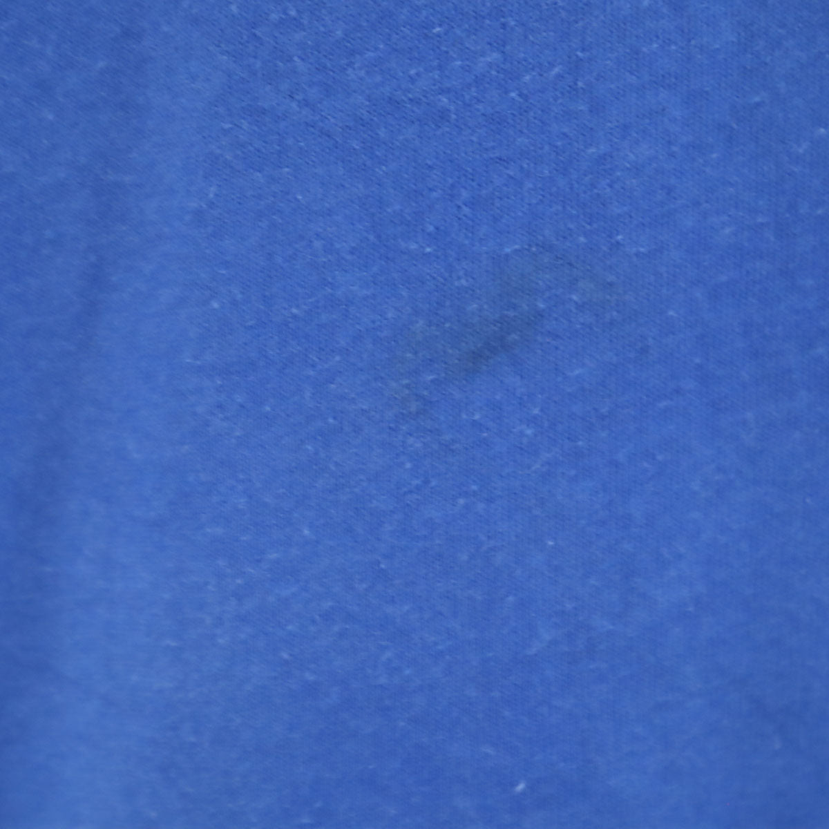 Hanes ヘインズ 90s オールド USA製 オートミール フェスティバル 半袖 Tシャツ L ブルー シングルステッチ メンズ