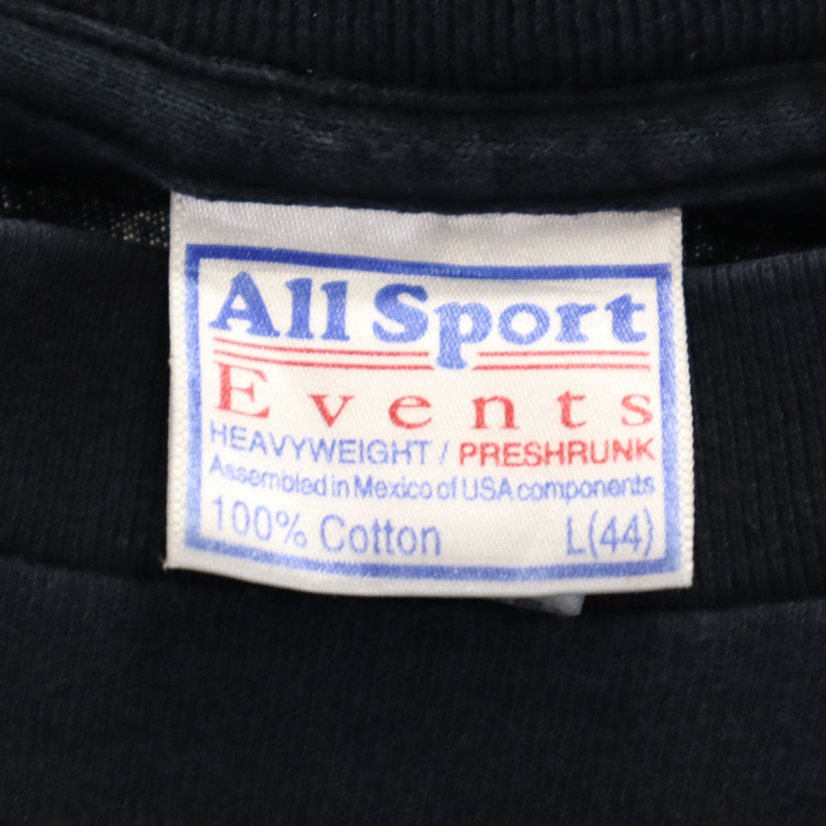 ALL SPORTS オールスポーツ 90s オールド バックプリント 半袖 Tシャツ L ブラック シングルステッチ メンズ