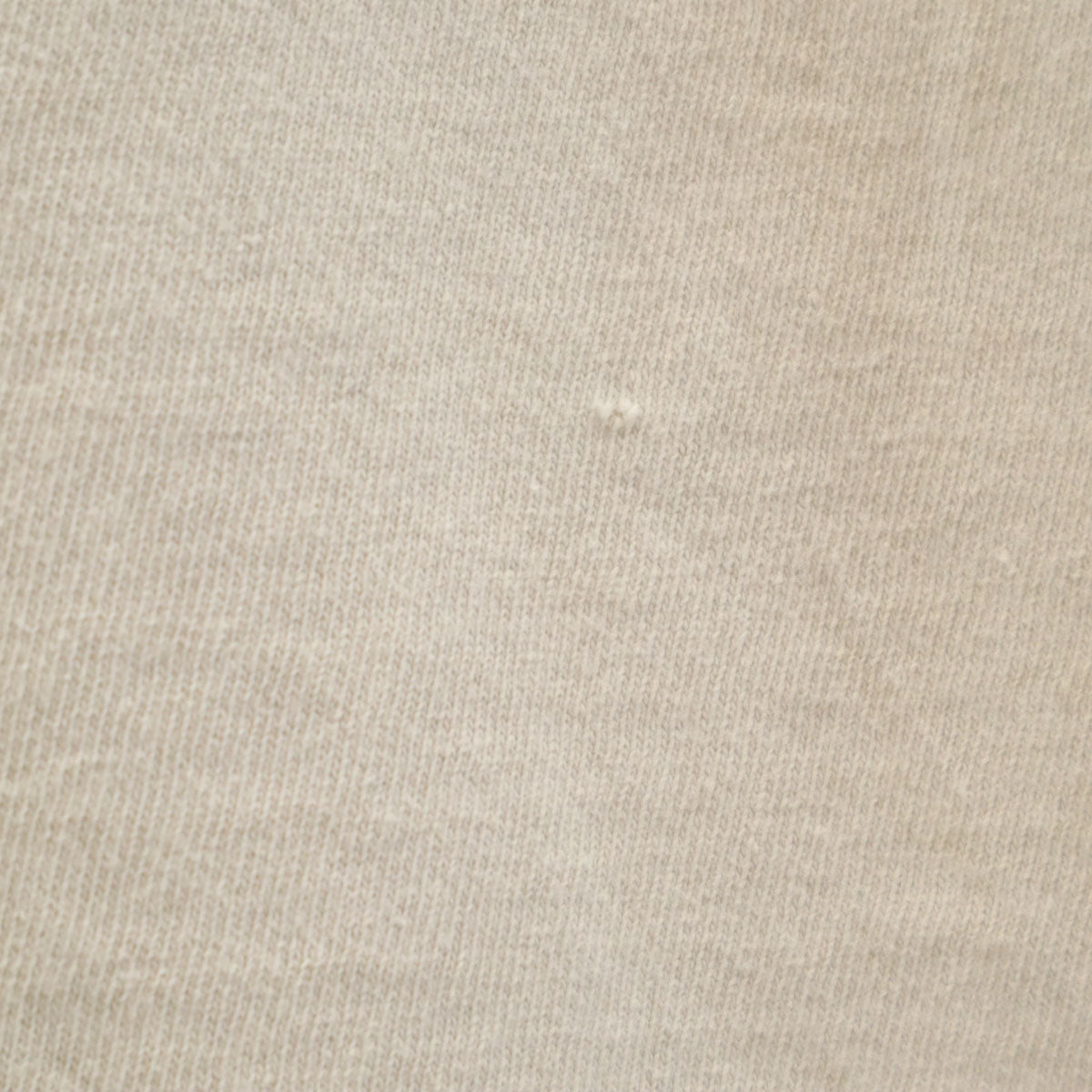 EAGLE イーグル 90s USA製 オールド TAOS 半袖 Tシャツ XL グレージュ シングルステッチ メンズ