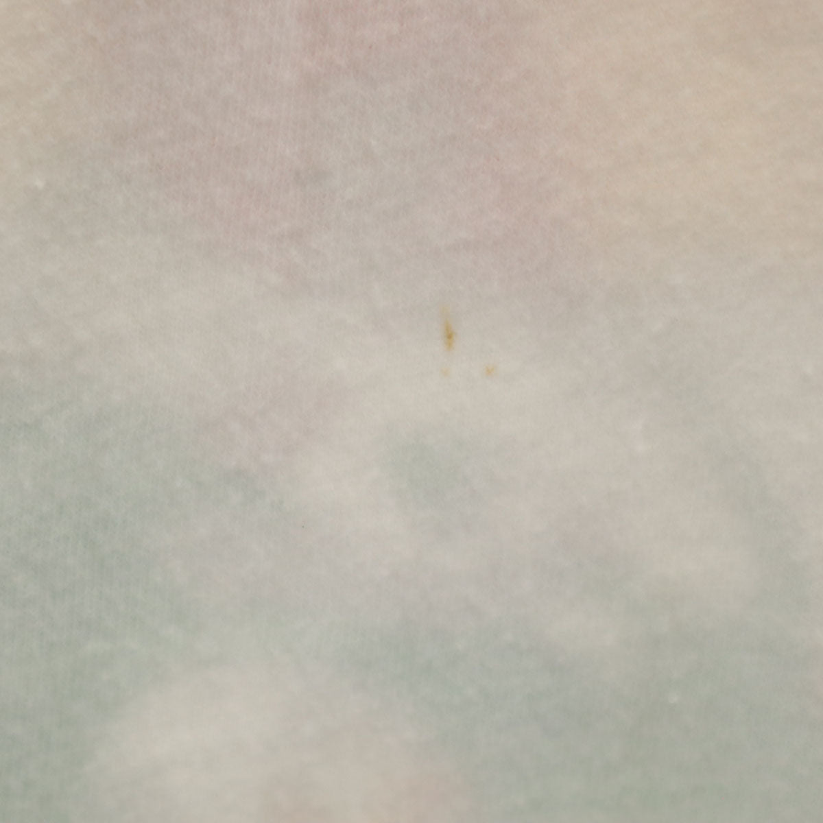 Hanes ヘインズ 80s 90s USA製 オールド アメリカンフットボール RIDER HATERS 半袖 Tシャツ XL ホワイト シングルステッチ BEEFY-T メンズ