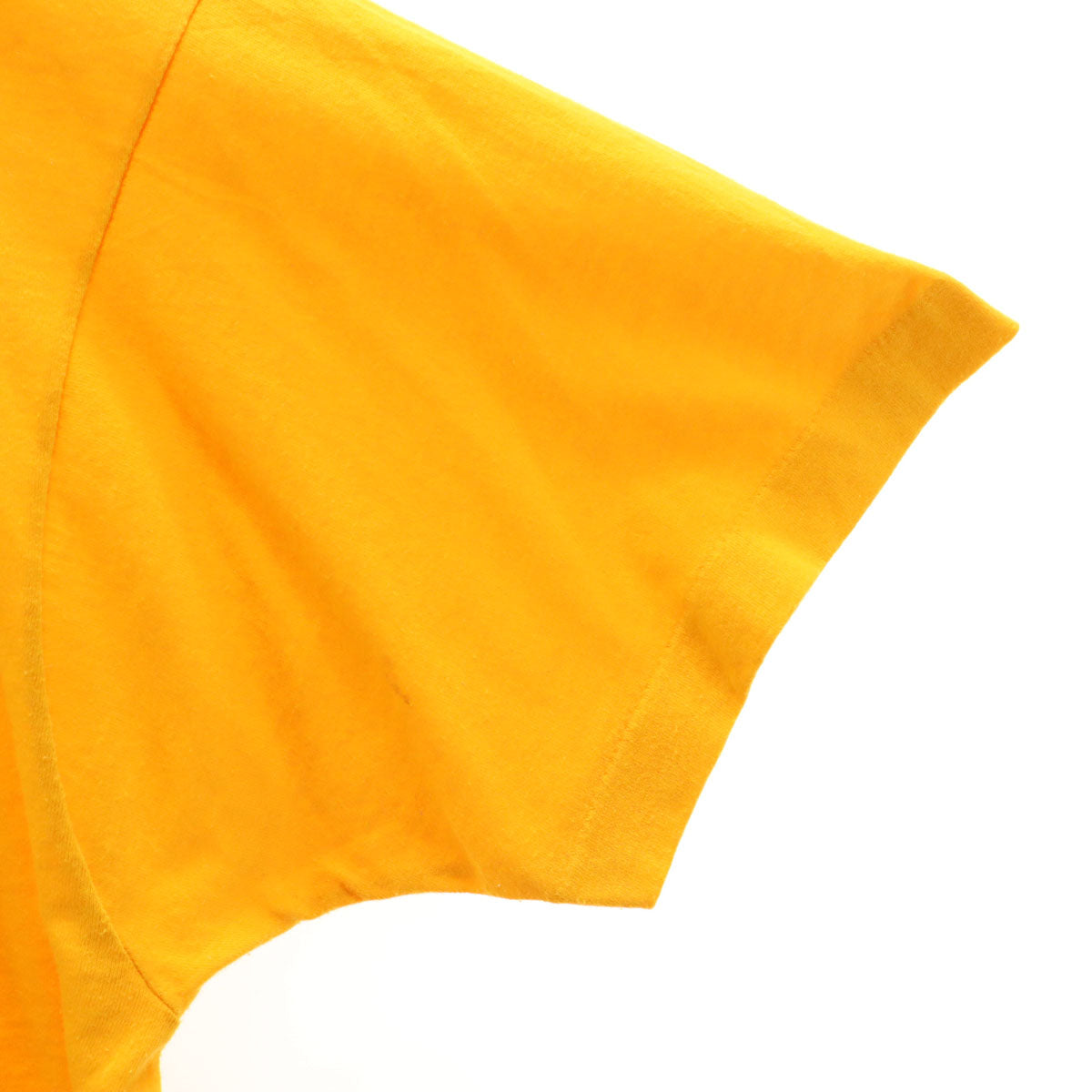 SCREEN STARS スクリーンスターズ 90s USA製 オールド GAC ライオン 半袖 Tシャツ XL 山吹色 シングルステッチ 企業モノ アニマル柄 メンズ