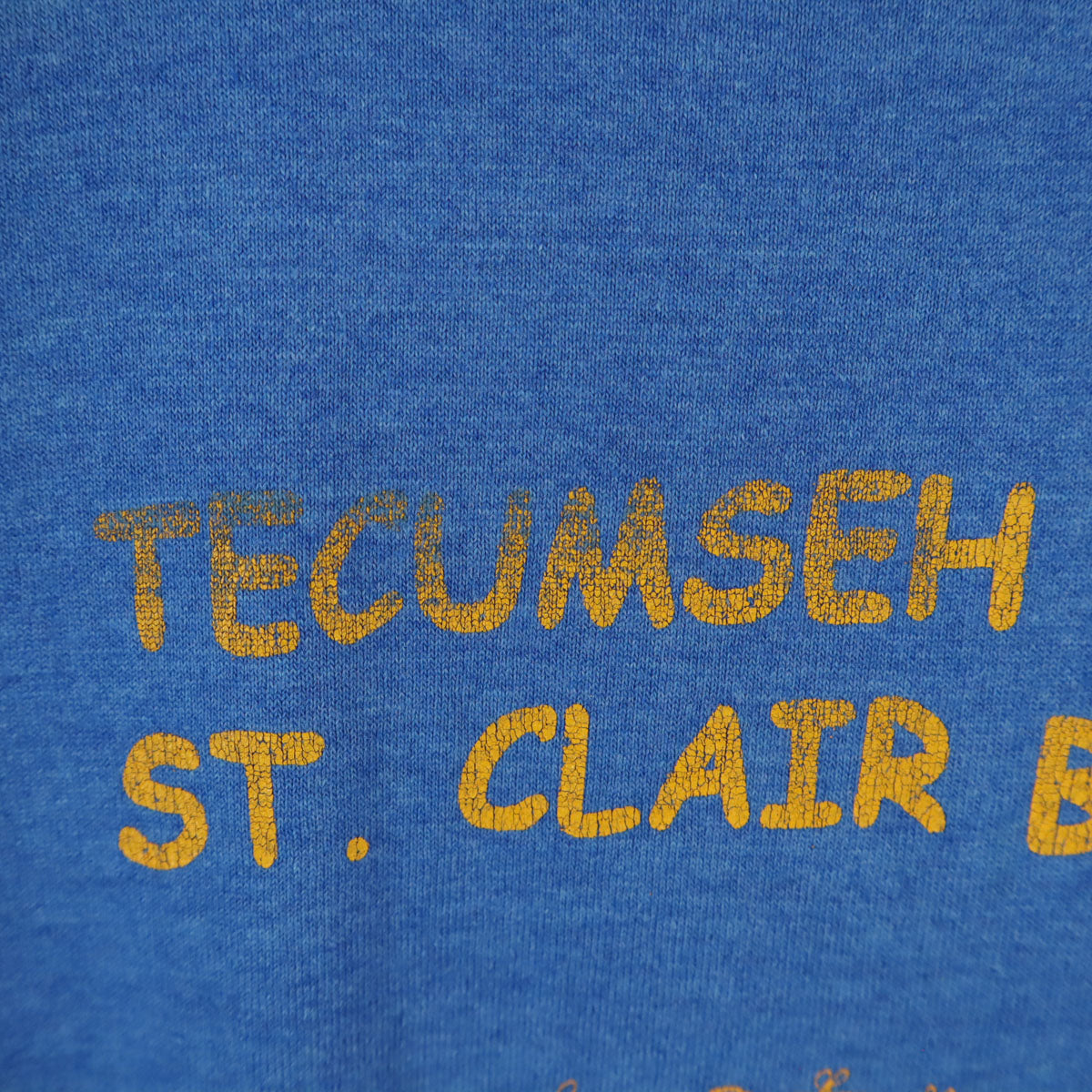 FRUIT OF THE LOOM フルーツオブザルーム 90s カナダ製 オールド 半袖 Tシャツ L ブルー シングルステッチ メンズ