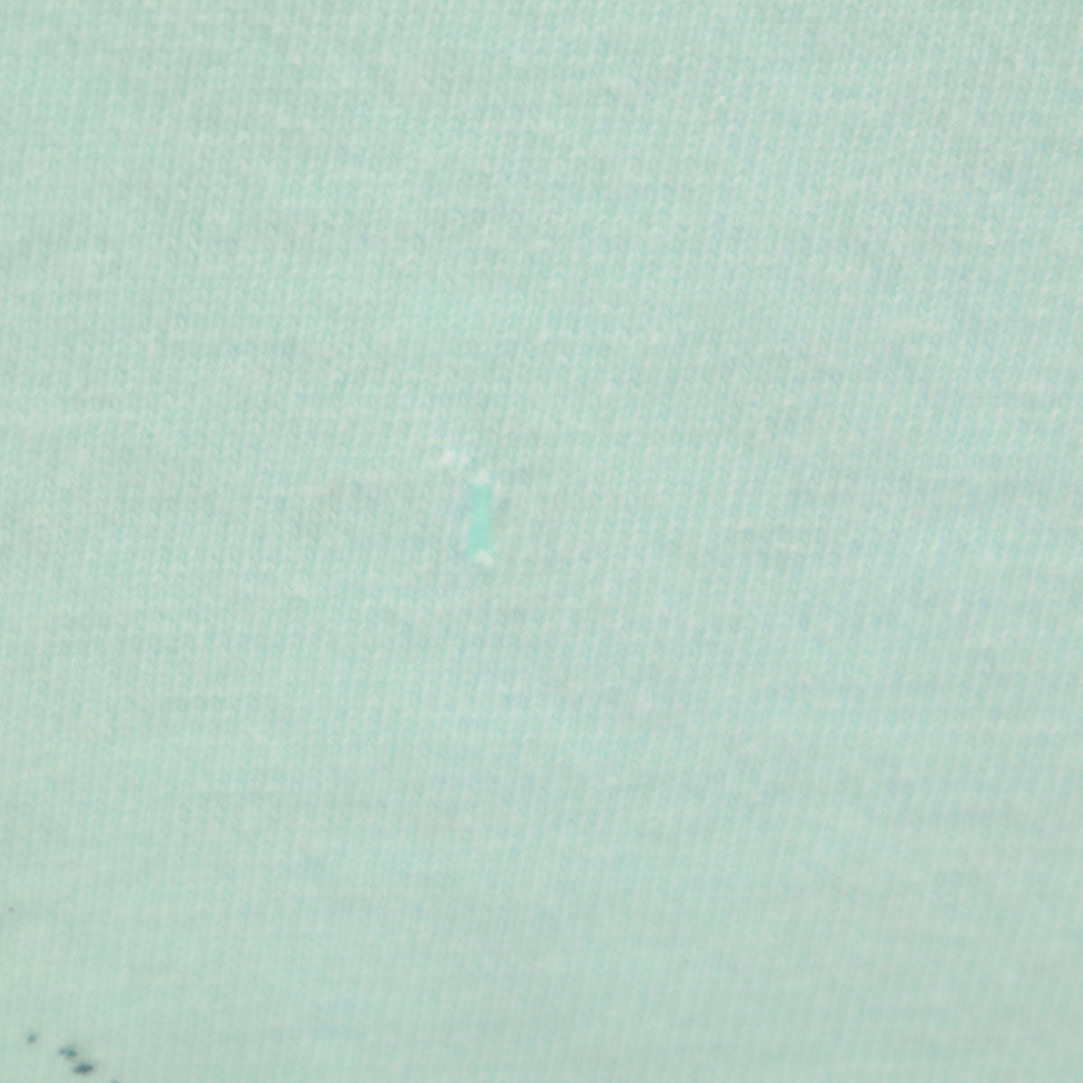 Hanes ヘインズ 80s 90s USA製 オールド 鉄道プリント 半袖 Tシャツ XL ミント系 シングルステッチ BEEFY-T メンズ