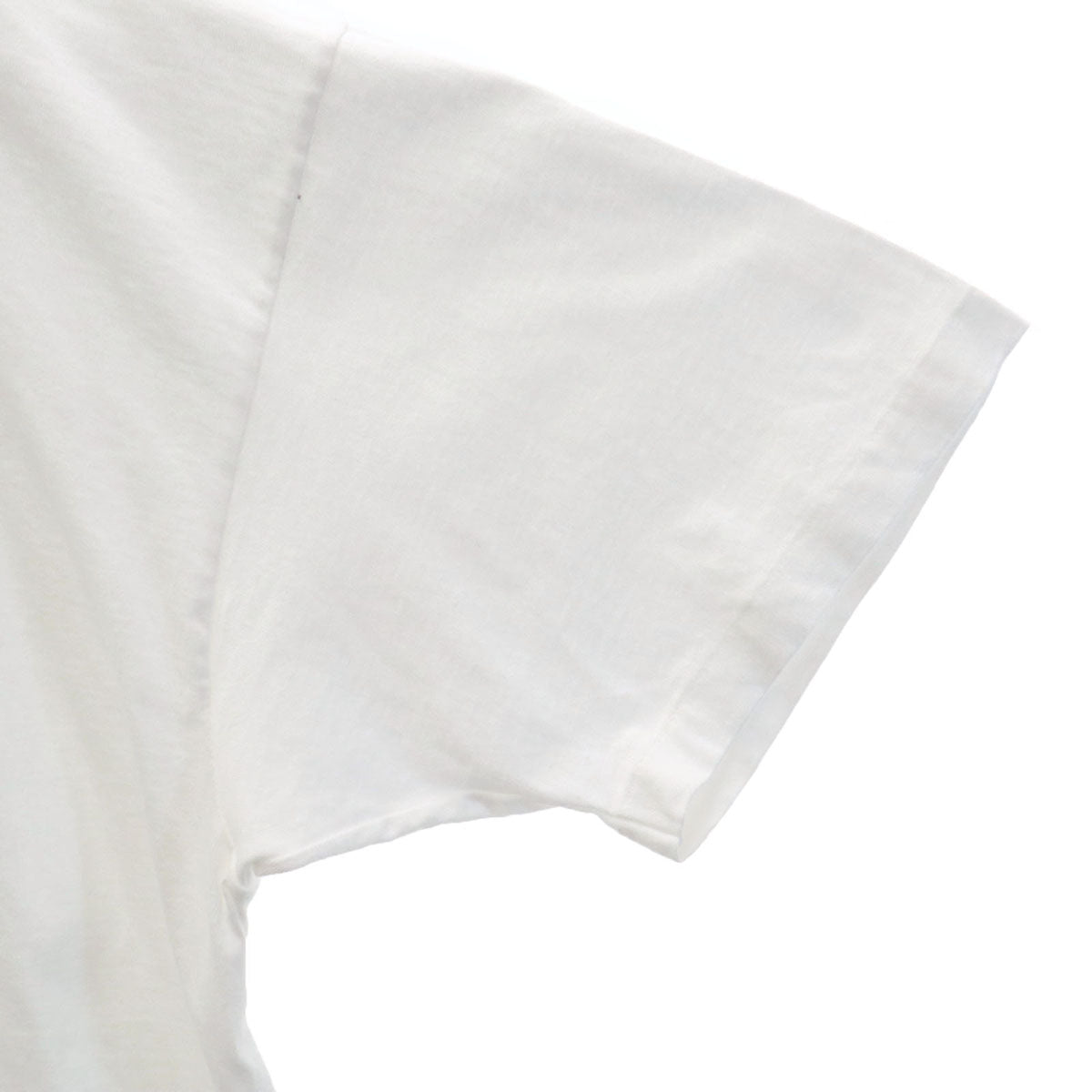 anvil アンヴィル 90s USA製 オールド ヒューマンアイ パンダ プリント 半袖 Tシャツ 2X ホワイト シングルステッチ アニマル柄 メンズ