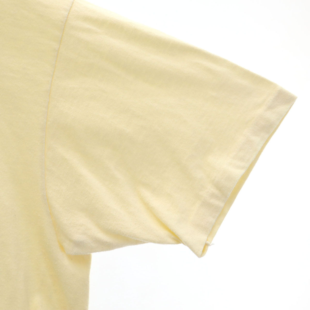 Hanes ヘインズ 80s 90s USA製 オールド SIERRA CLUB オラウータン プリント 半袖 Tシャツ XL 生成り シングルステッチ BEEFY-T アニマル柄 メンズ
