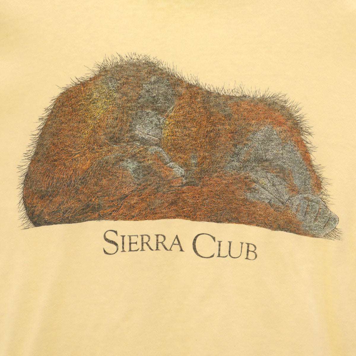 Hanes ヘインズ 80s 90s USA製 オールド SIERRA CLUB オラウータン プリント 半袖 Tシャツ XL 生成り シングルステッチ BEEFY-T アニマル柄 メンズ